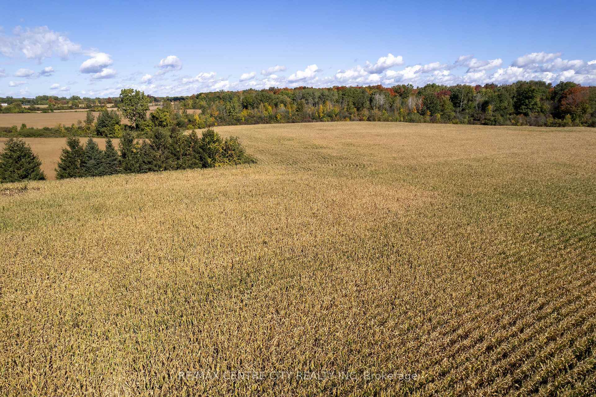 Photo 6 of 20952 Rebecca Road, Thames Centre, Thorndale — HOMEH