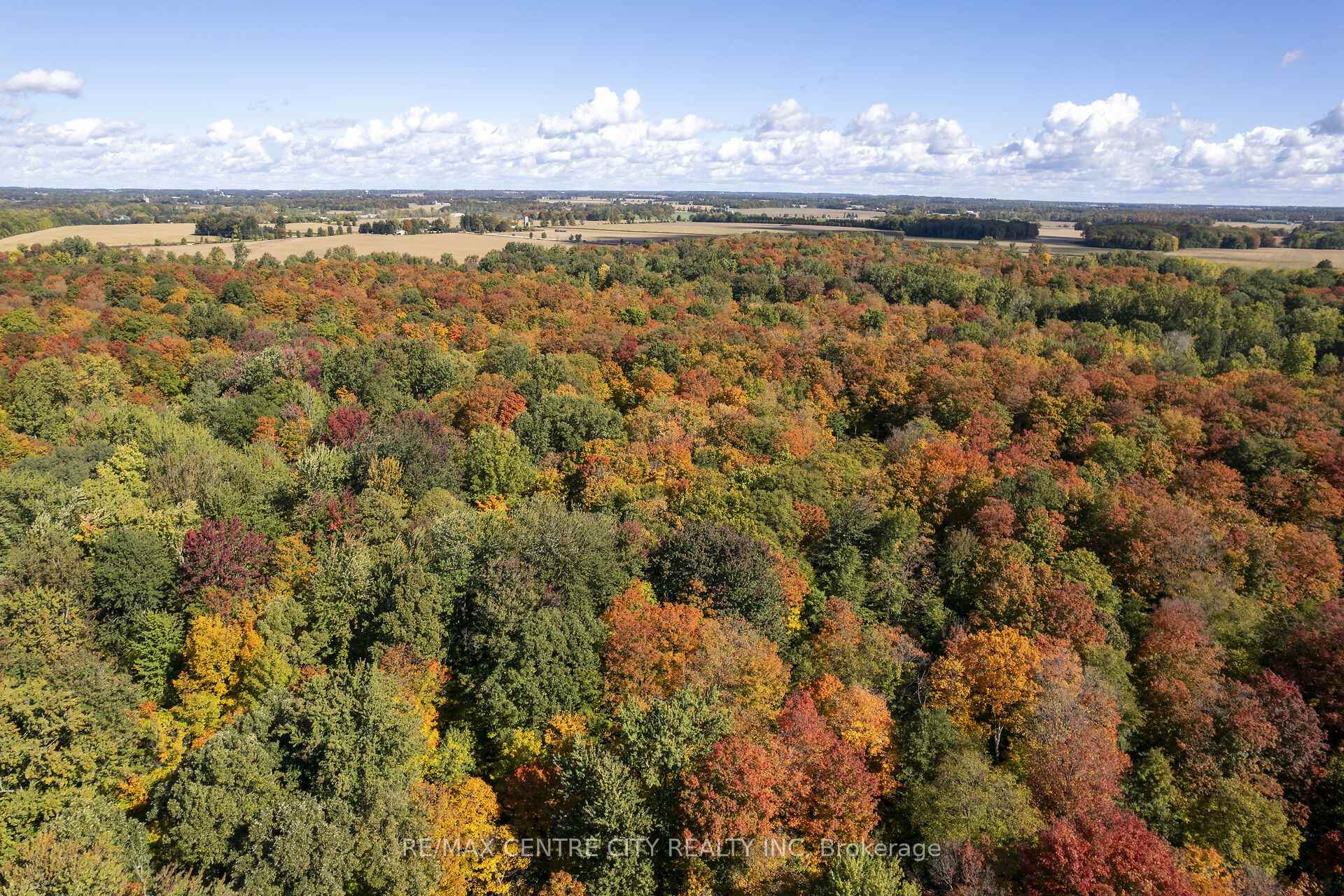 Photo 9 of 20952 Rebecca Road, Thames Centre, Thorndale — HOMEH