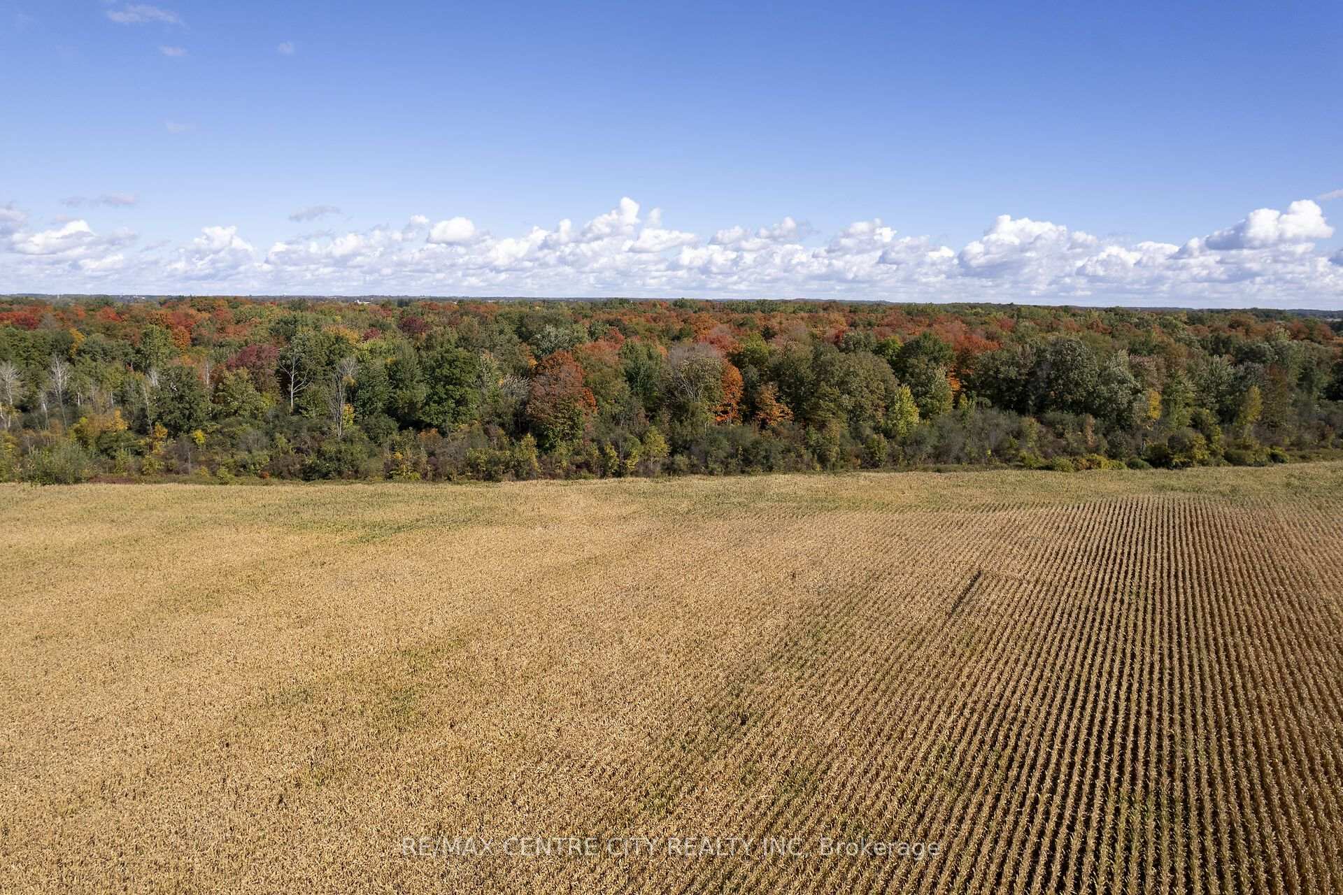 Photo 10 of 20952 Rebecca Road, Thames Centre, Thorndale — HOMEH