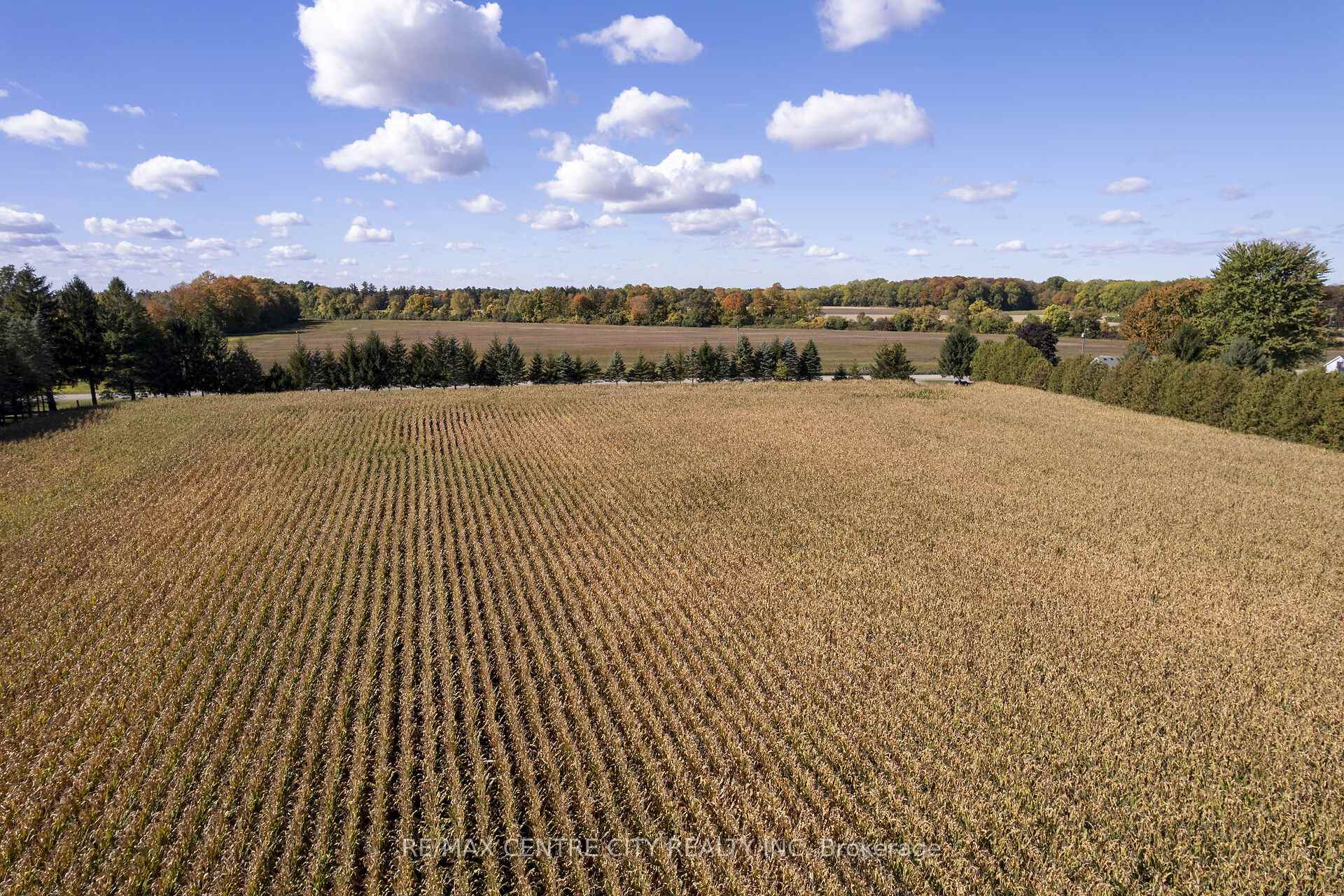 Photo 12 of 20952 Rebecca Road, Thames Centre, Thorndale — HOMEH