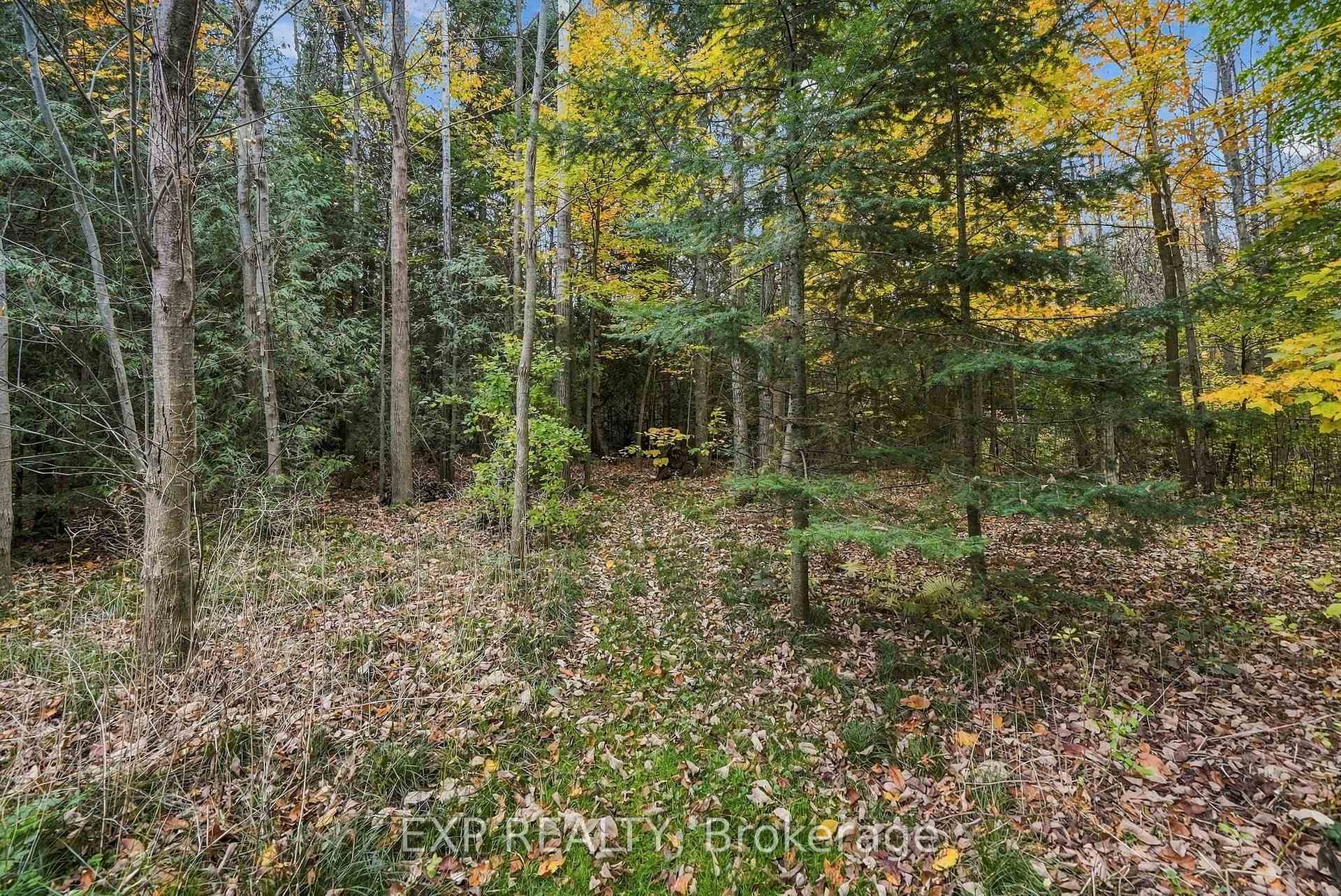 Photo 44 of 49 Blue Heron Drive, Mono, Rural Mono — HOMEH