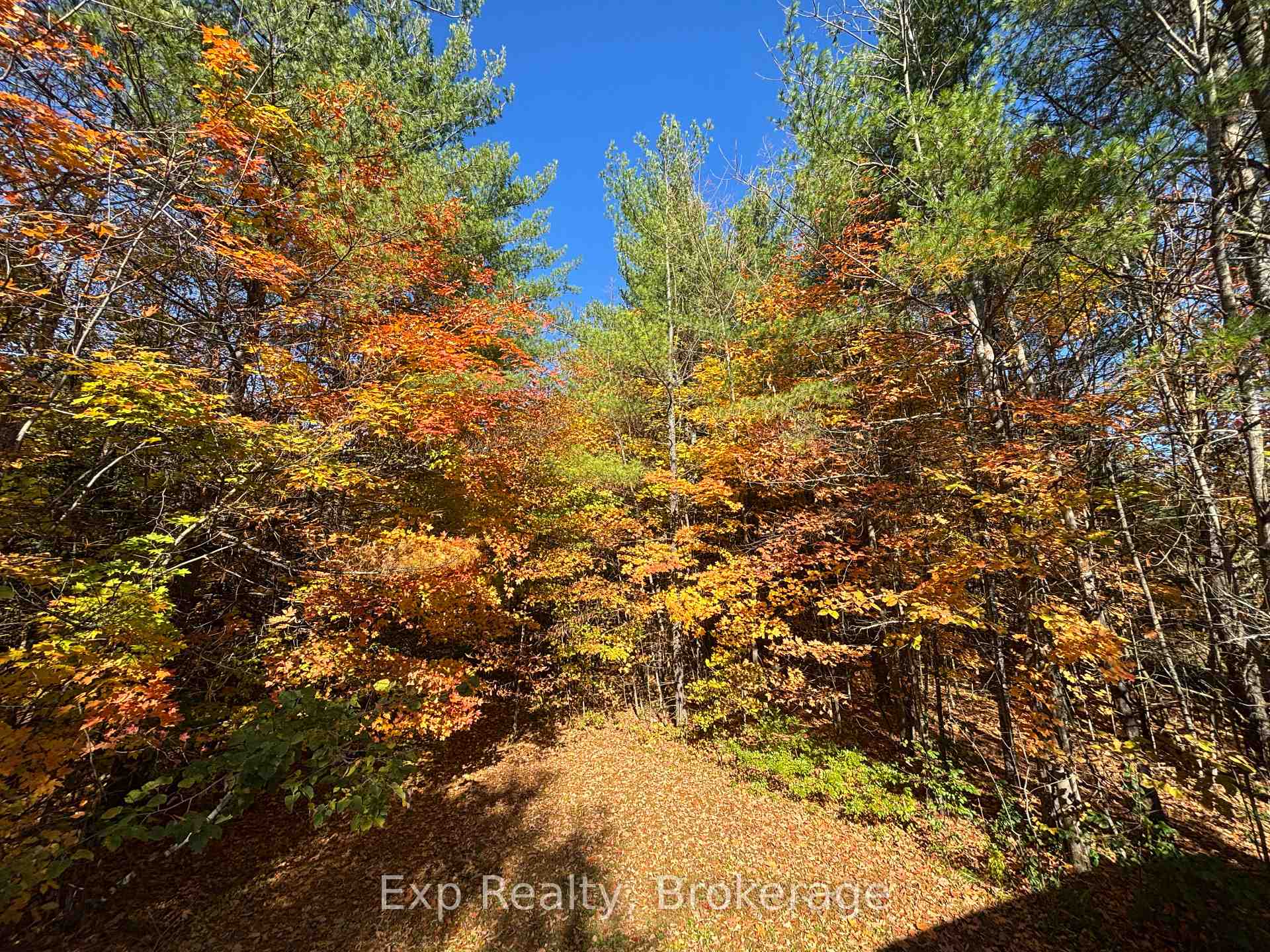 Photo 3 of 794 Pinegrove Road, Greater Napanee, Greater Napanee — HOMEH