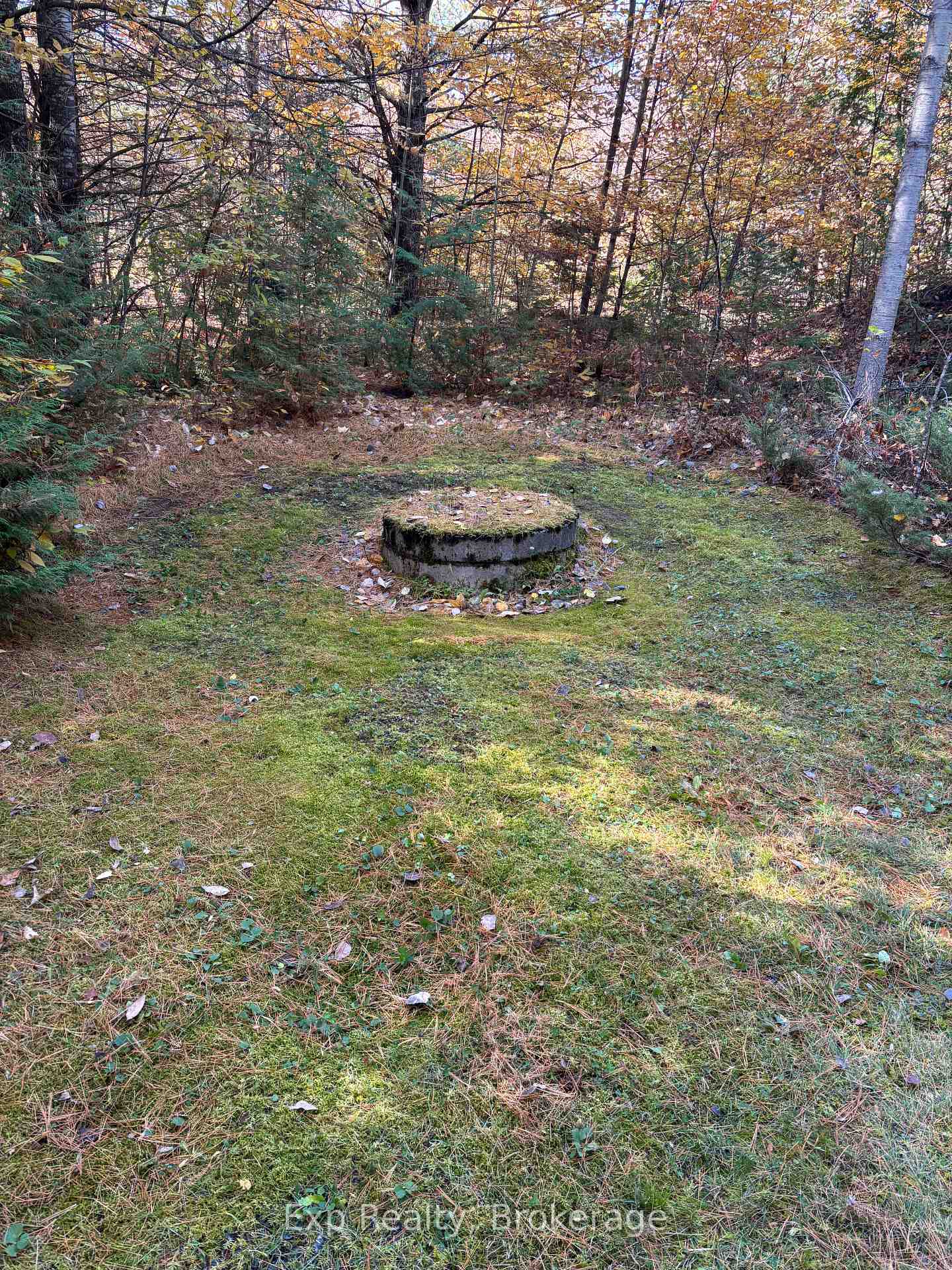 Photo 5 of 794 Pinegrove Road, Greater Napanee, Greater Napanee — HOMEH
