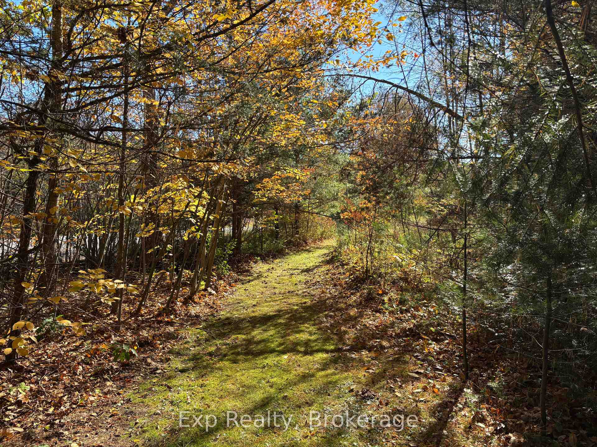 Photo 7 of 794 Pinegrove Road, Greater Napanee, Greater Napanee — HOMEH