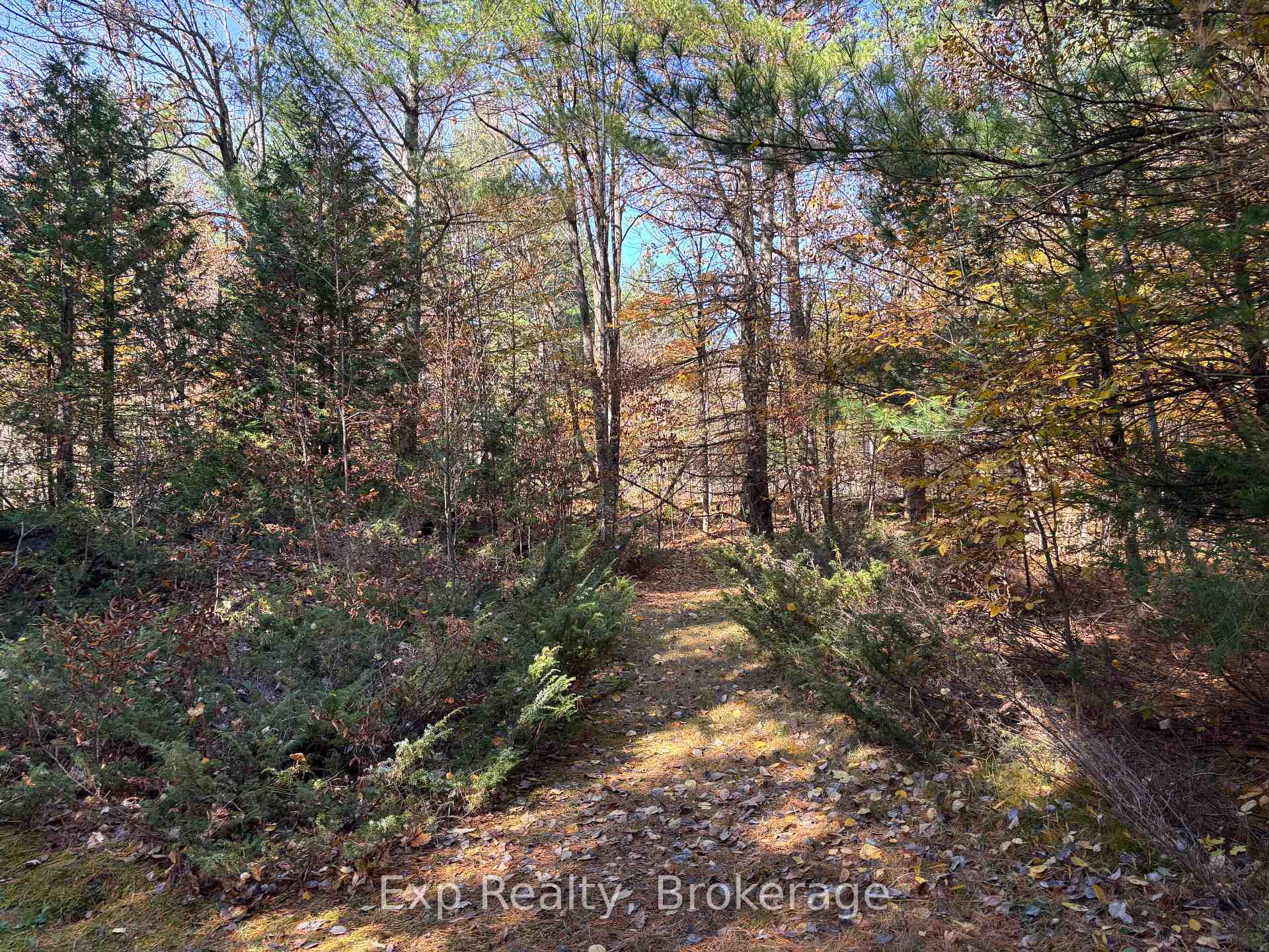 Photo 8 of 794 Pinegrove Road, Greater Napanee, Greater Napanee — HOMEH