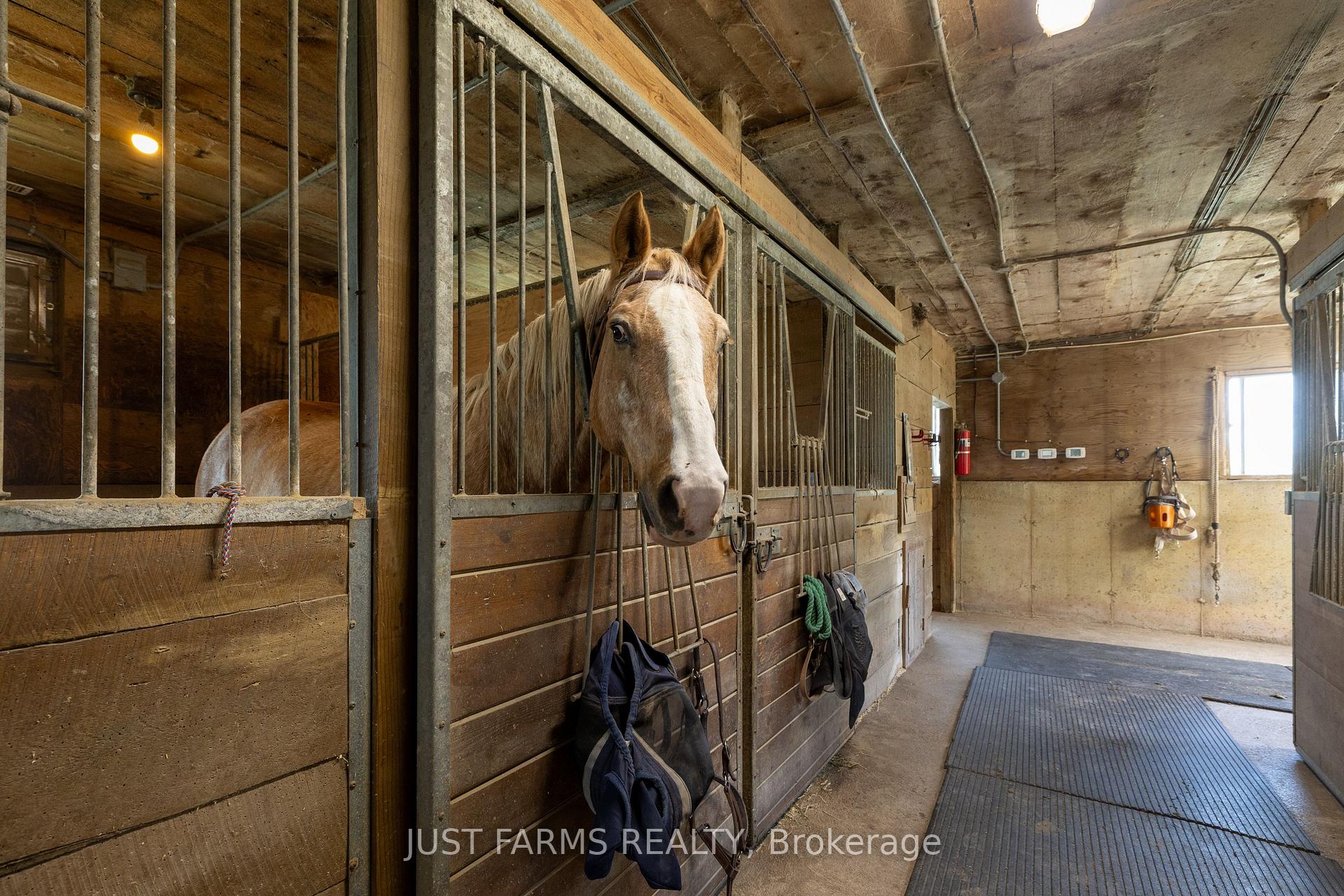 Photo 9 of 21846 Muncey Road, Strathroy-Caradoc, Rural Strathroy-Caradoc — HOMEH