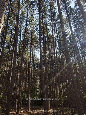 Photo 7 of Unit C, 97 Tranquility Bay Drive, Bonnechere Valley, Eganville/Bonnechere Twp — HOMEH