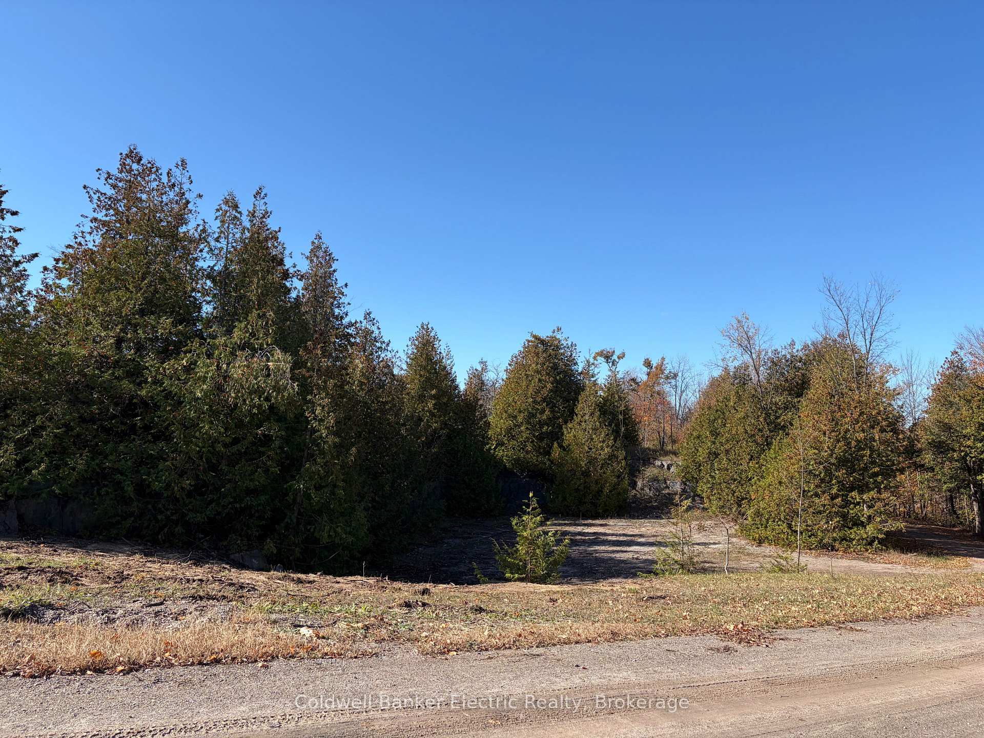 Photo 4 of 237 Tower Road, Madoc — HOMEH