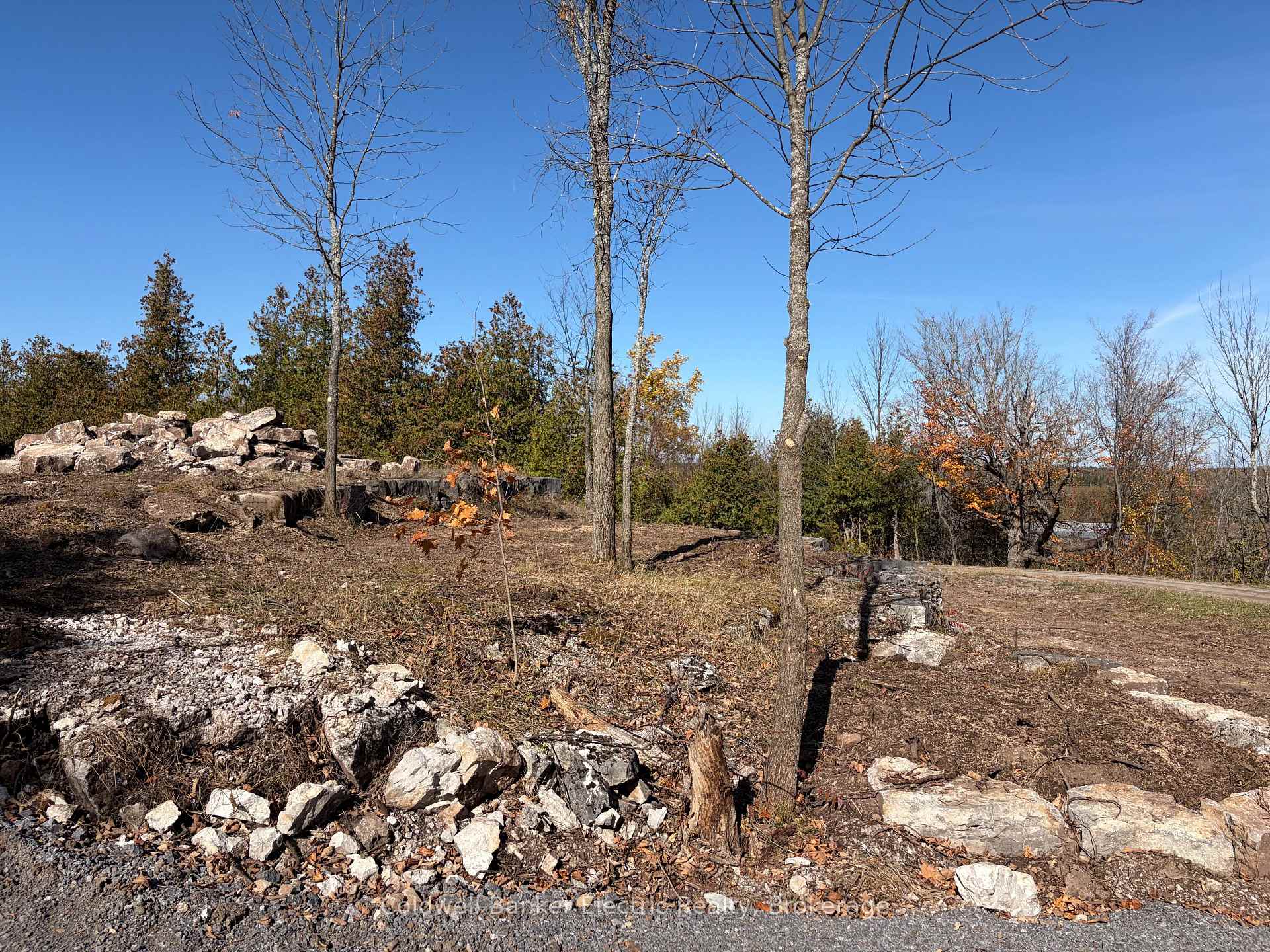 Photo 6 of 237 Tower Road, Madoc — HOMEH