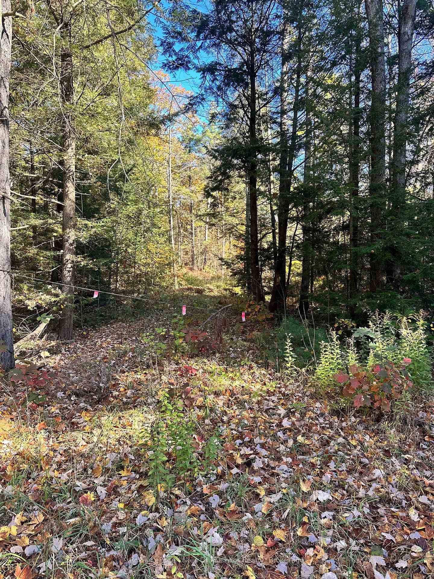 Photo 1 of 1101 Doe Lake Road, Gravenhurst, Muskoka (S) — HOMEH