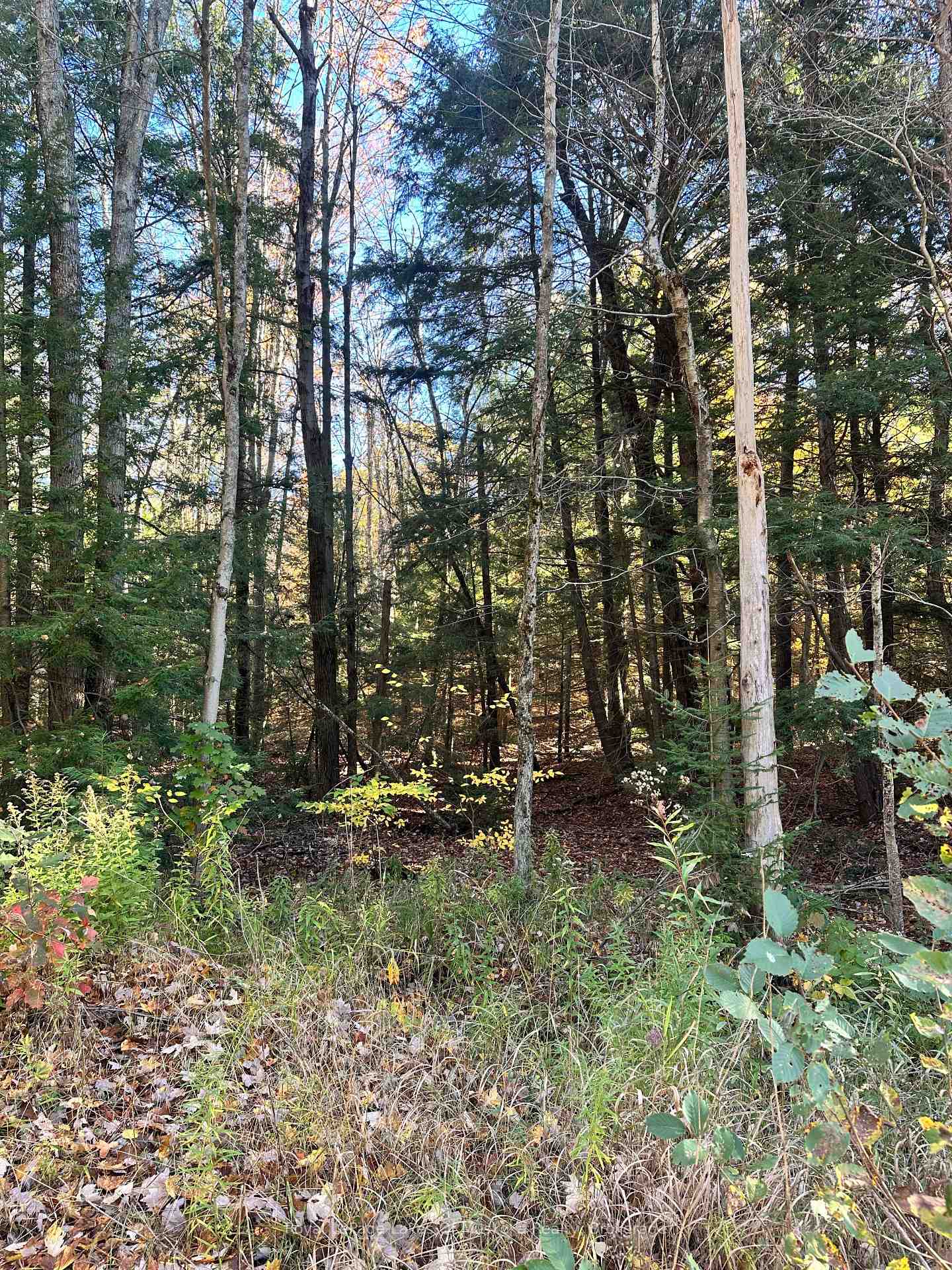 Photo 2 of 1101 Doe Lake Road, Gravenhurst, Muskoka (S) — HOMEH