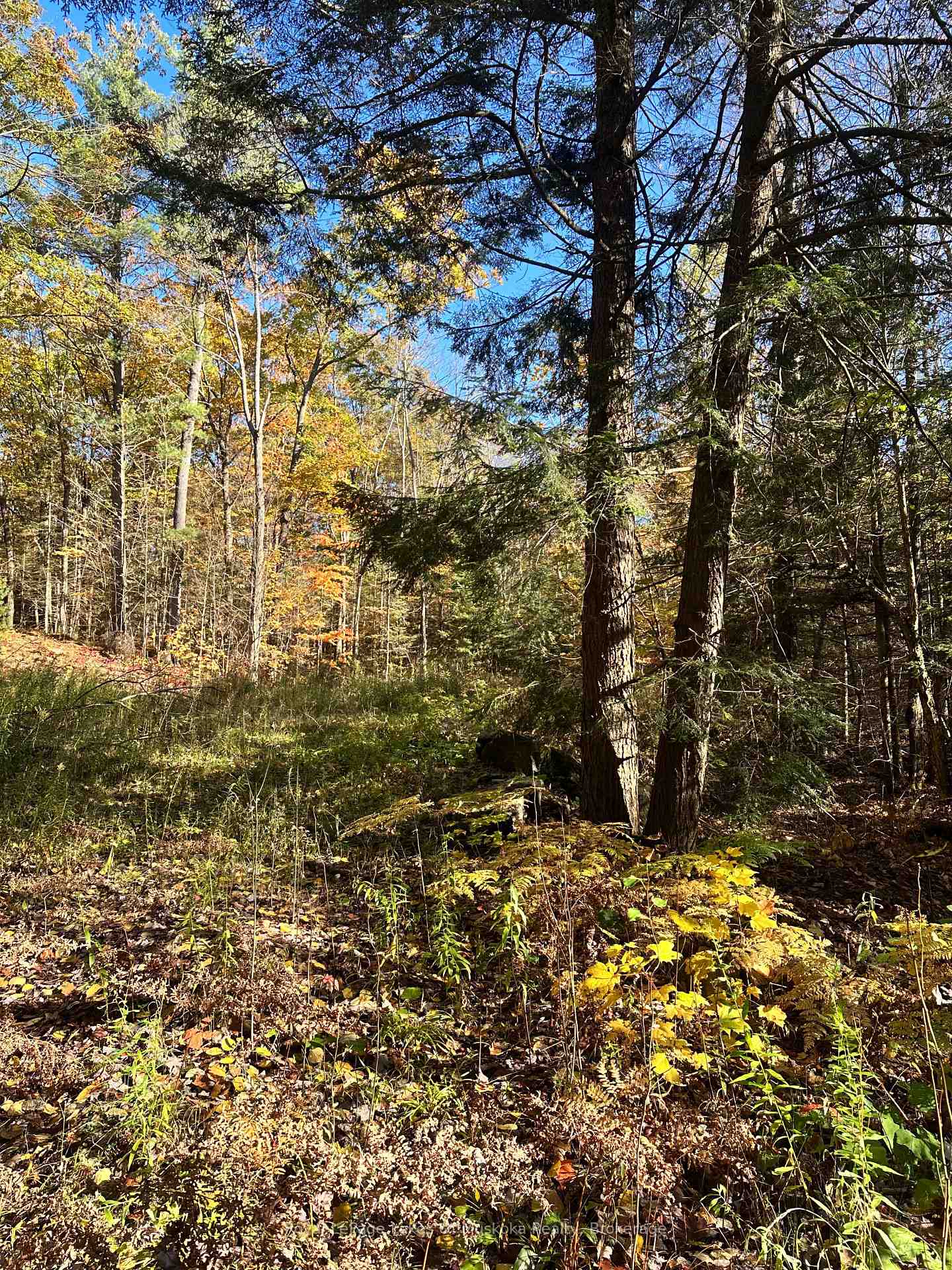 Photo 5 of 1101 Doe Lake Road, Gravenhurst, Muskoka (S) — HOMEH