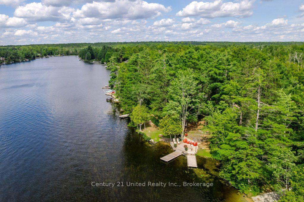 Photo 7 of 41 Hall Crescent, Trent Lakes — HOMEH