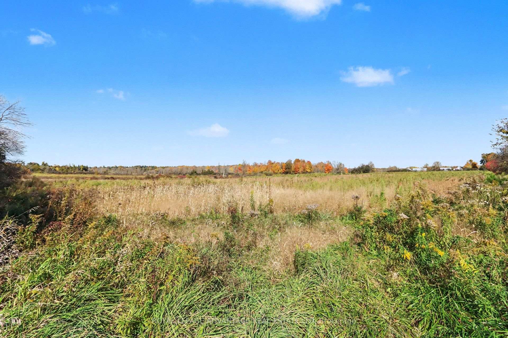 Photo 14 of Gambles Road, Tay Valley, Bathurst/Burgess & Sherbrooke (Bathurst) Twp — HOMEH