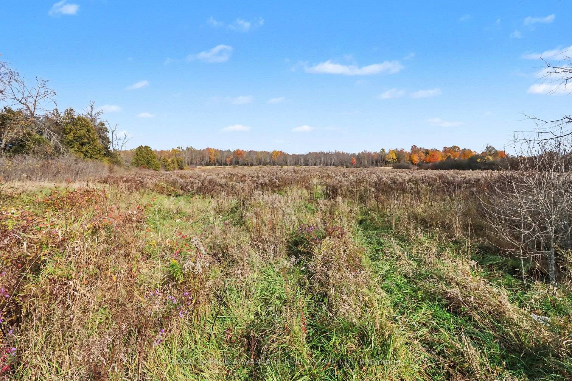 Photo 17 of Gambles Road, Tay Valley, Bathurst/Burgess & Sherbrooke (Bathurst) Twp — HOMEH