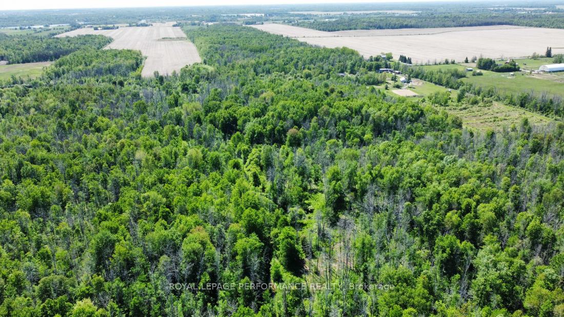 Photo 5 of 3251 Paden Road, Ottawa, Rideau Twp S of Reg Rd 6 W of Mccordick Rd. — HOMEH