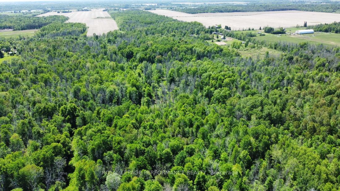 Photo 6 of 3251 Paden Road, Ottawa, Rideau Twp S of Reg Rd 6 W of Mccordick Rd. — HOMEH