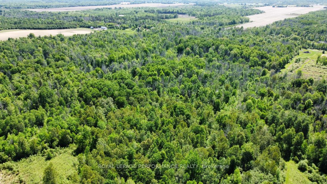 Photo 7 of 3251 Paden Road, Ottawa, Rideau Twp S of Reg Rd 6 W of Mccordick Rd. — HOMEH