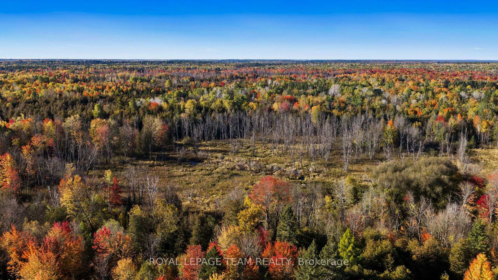 Photo 8 of 1861 Bearhill Road, Ottawa, Huntley Ward (North West) — HOMEH