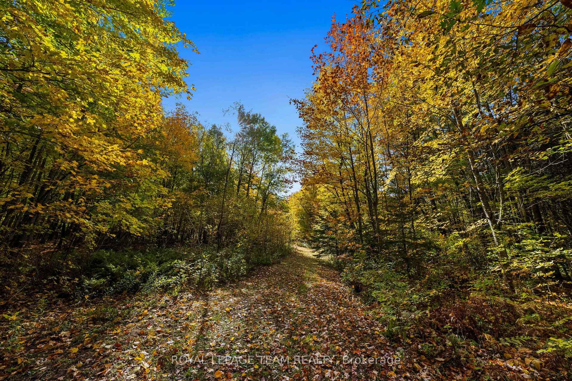 Photo 11 of 1861 Bearhill Road, Ottawa, Huntley Ward (North West) — HOMEH