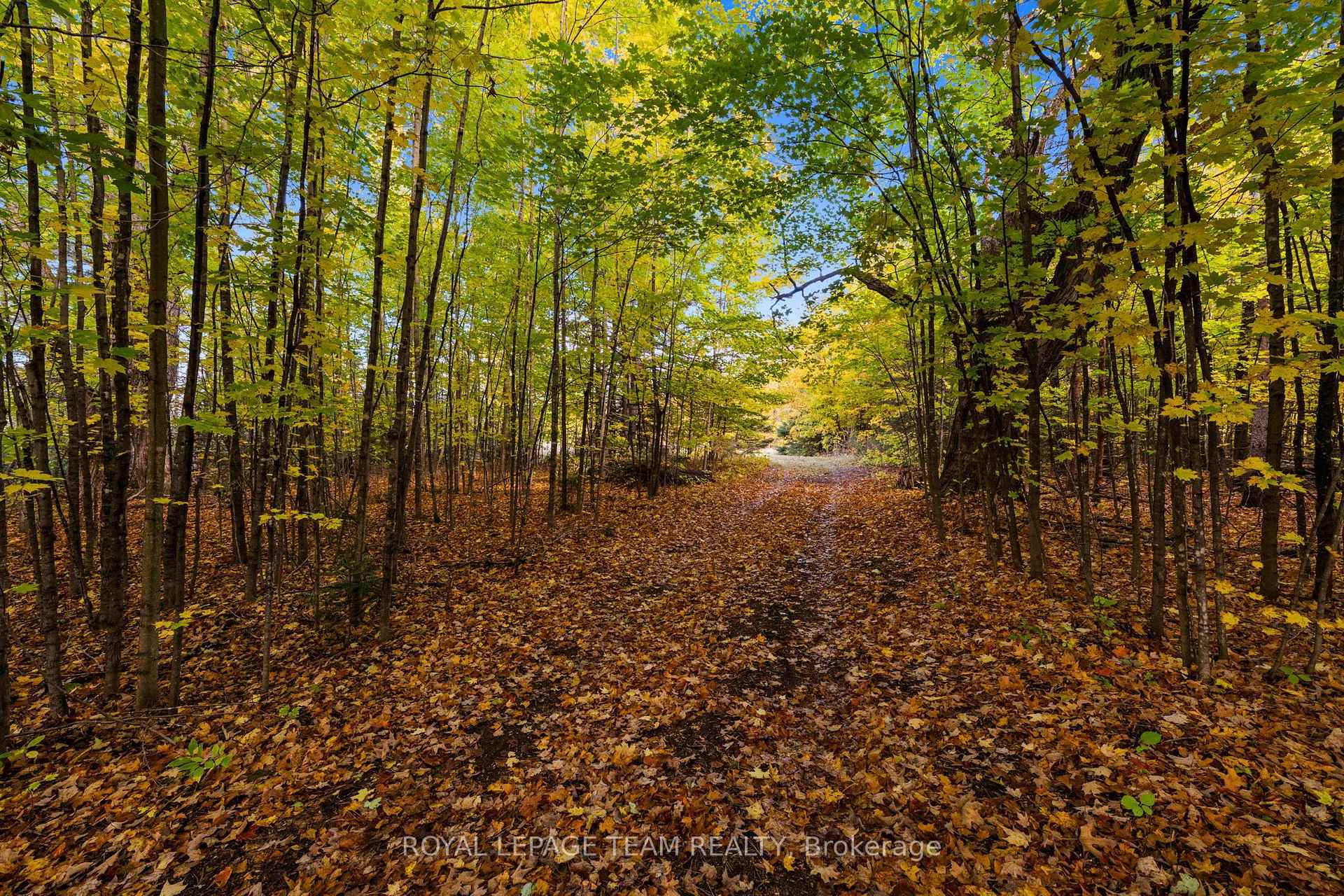 Photo 12 of 1861 Bearhill Road, Ottawa, Huntley Ward (North West) — HOMEH