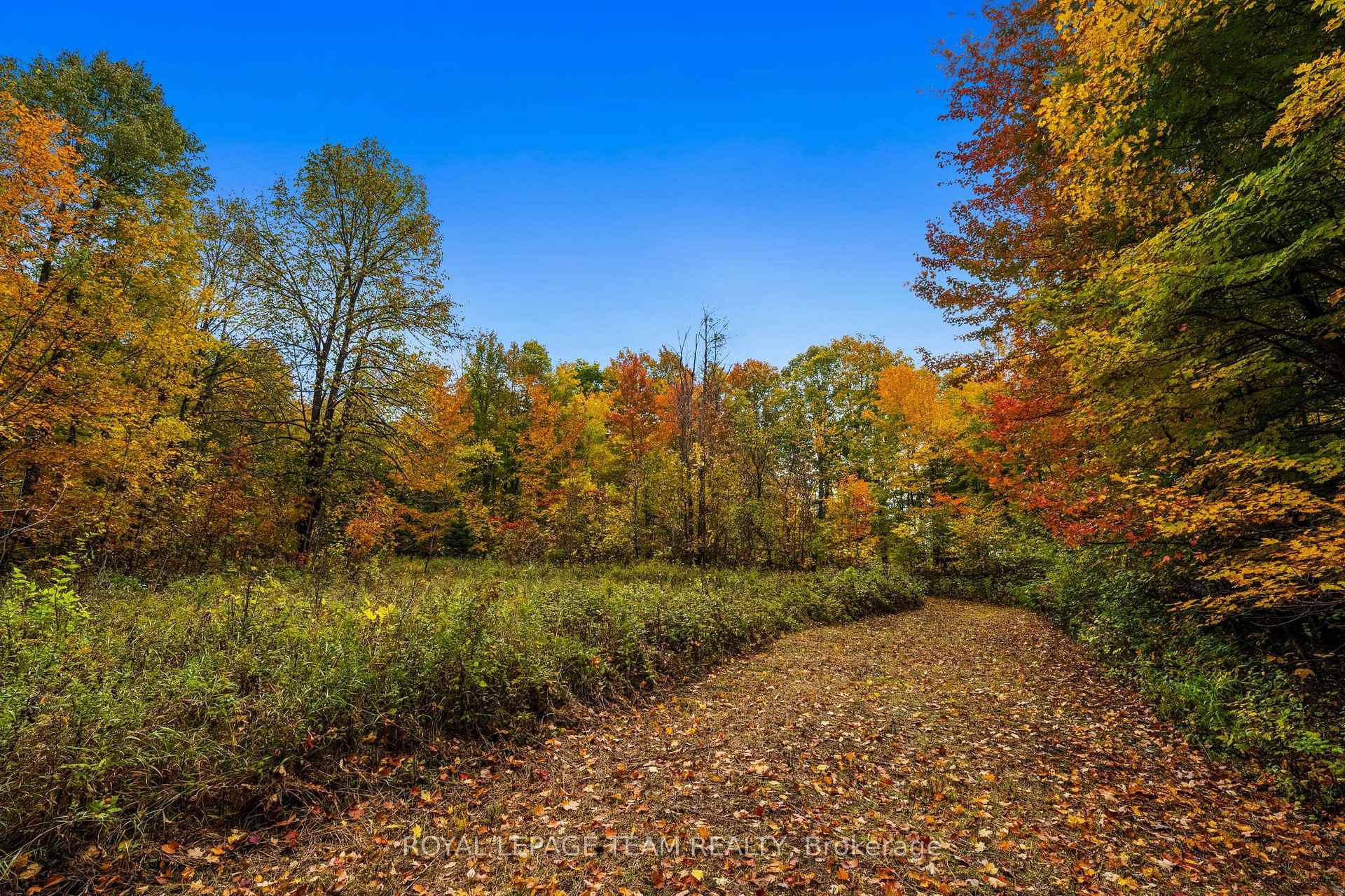 Photo 13 of 1861 Bearhill Road, Ottawa, Huntley Ward (North West) — HOMEH