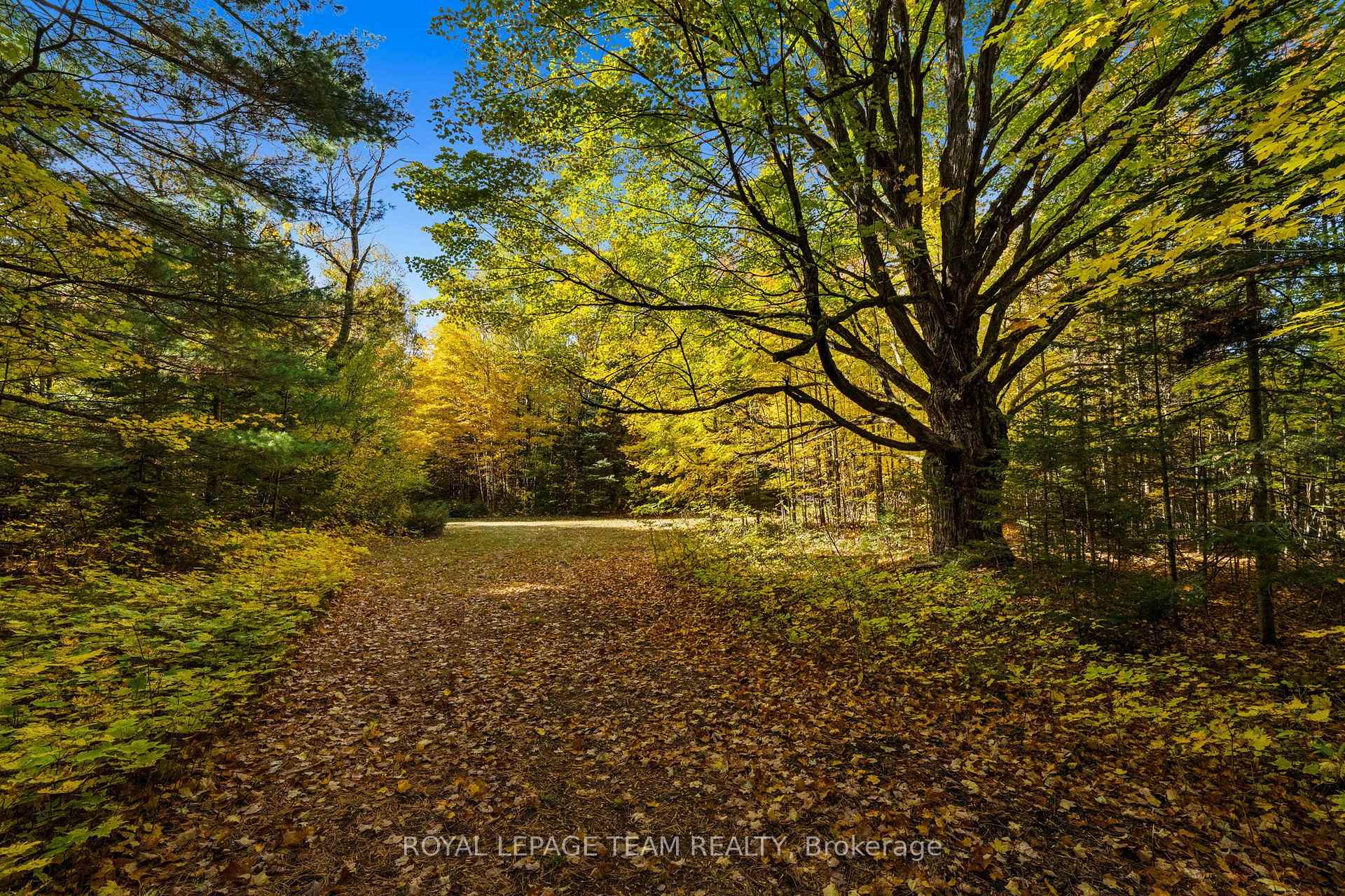 Photo 14 of 1861 Bearhill Road, Ottawa, Huntley Ward (North West) — HOMEH