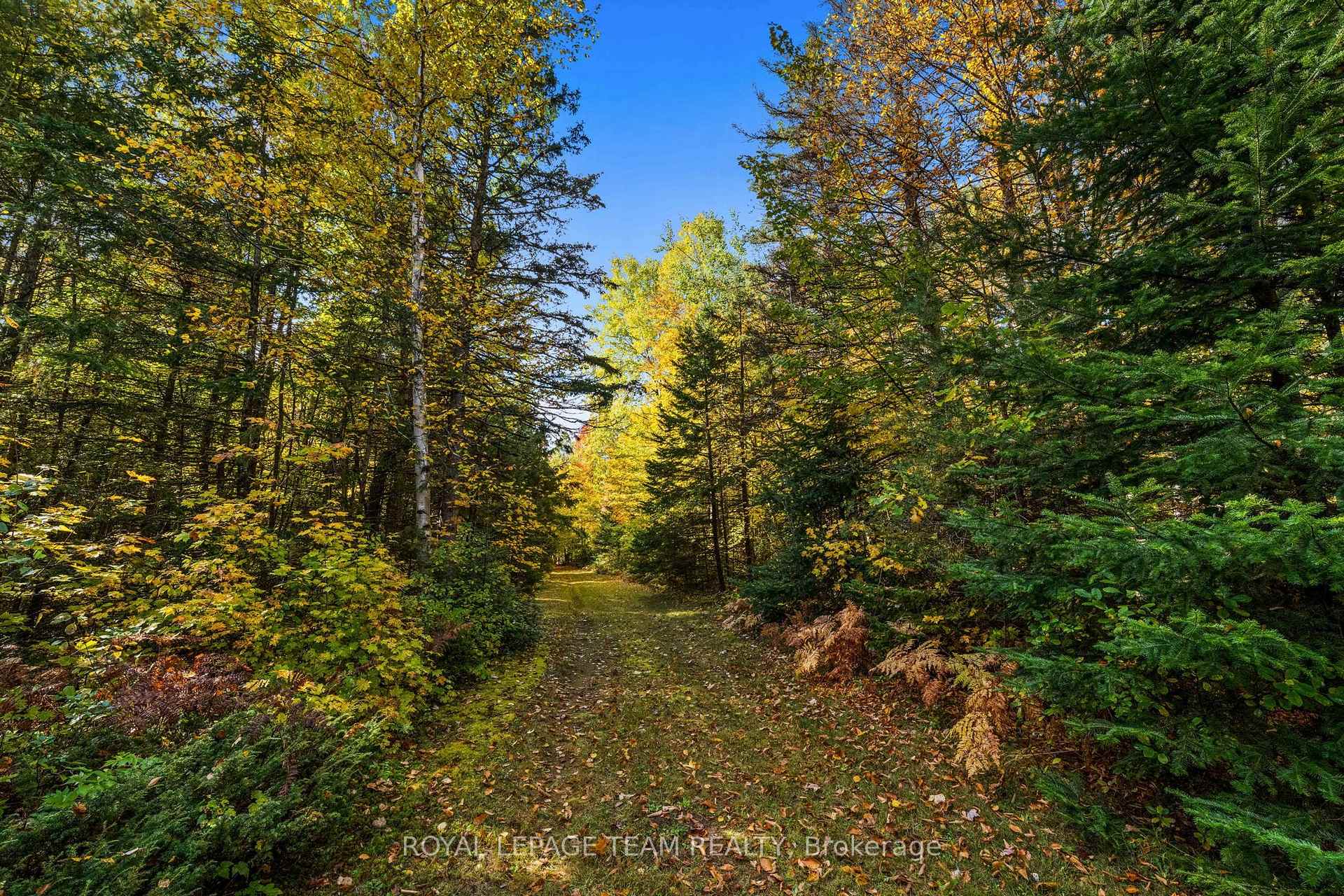 Photo 16 of 1861 Bearhill Road, Ottawa, Huntley Ward (North West) — HOMEH