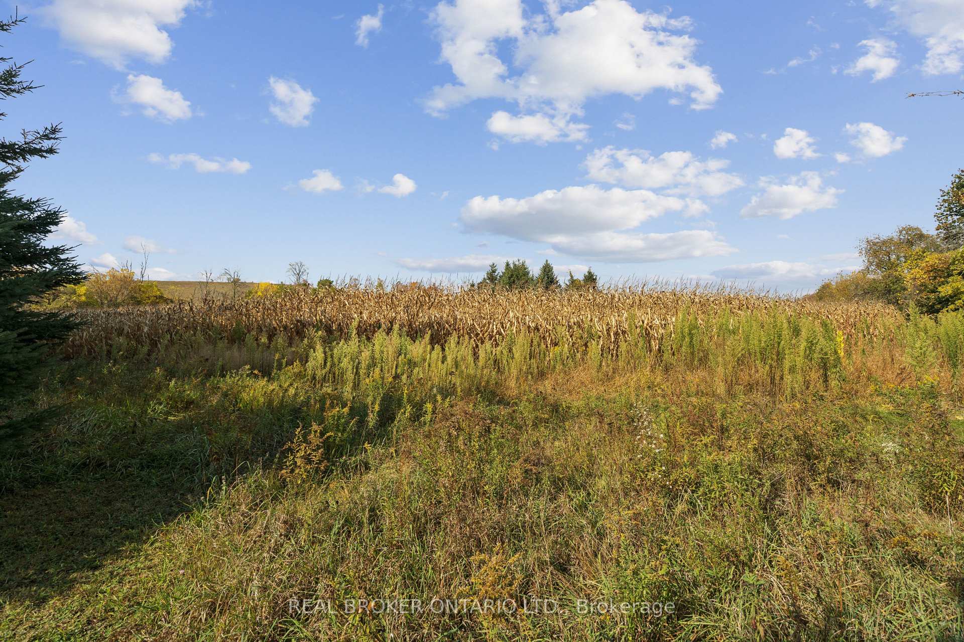 Photo 17 of 5649 25 Side Road, Milton, Rural Nassagaweya — HOMEH