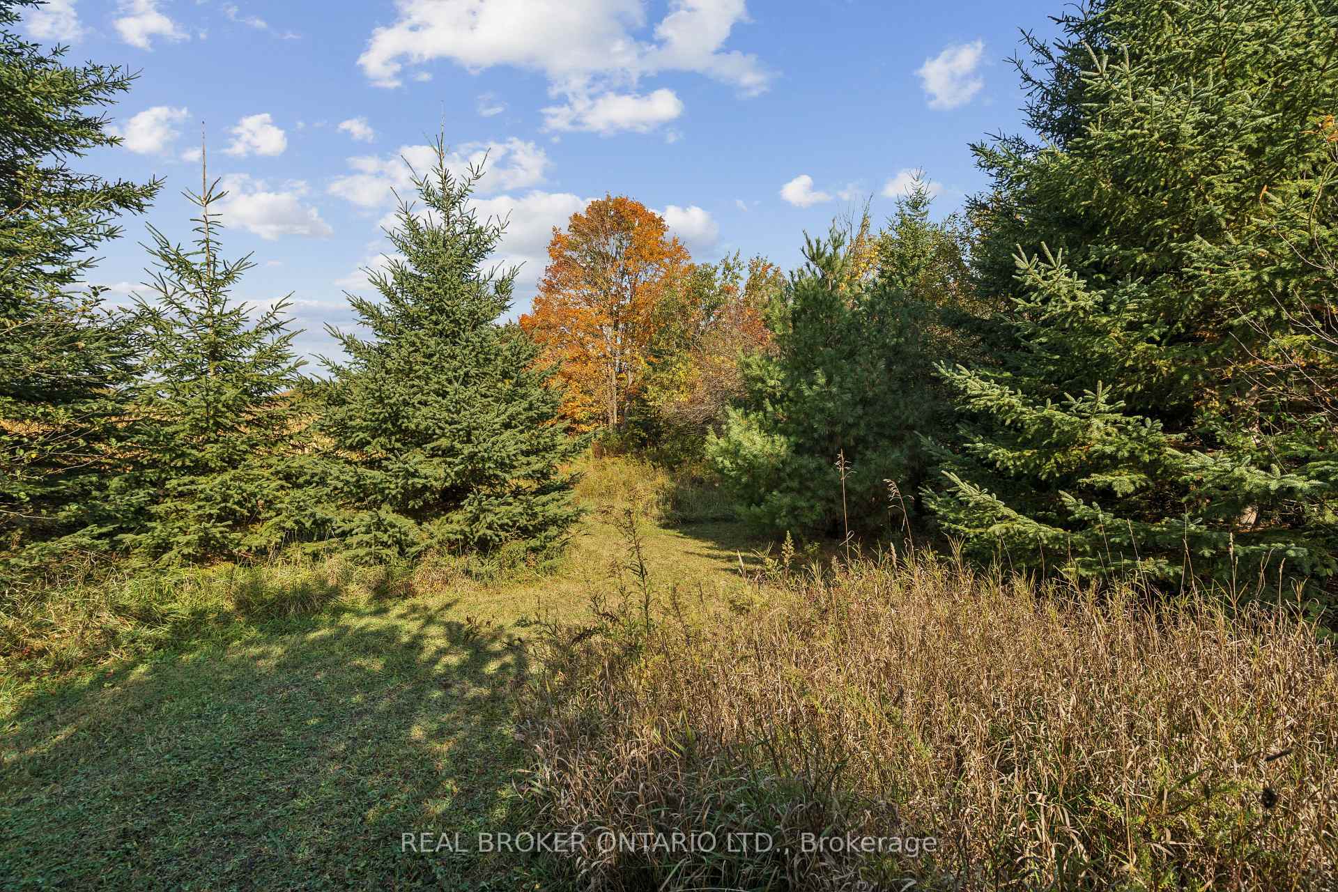 Photo 18 of 5649 25 Side Road, Milton, Rural Nassagaweya — HOMEH