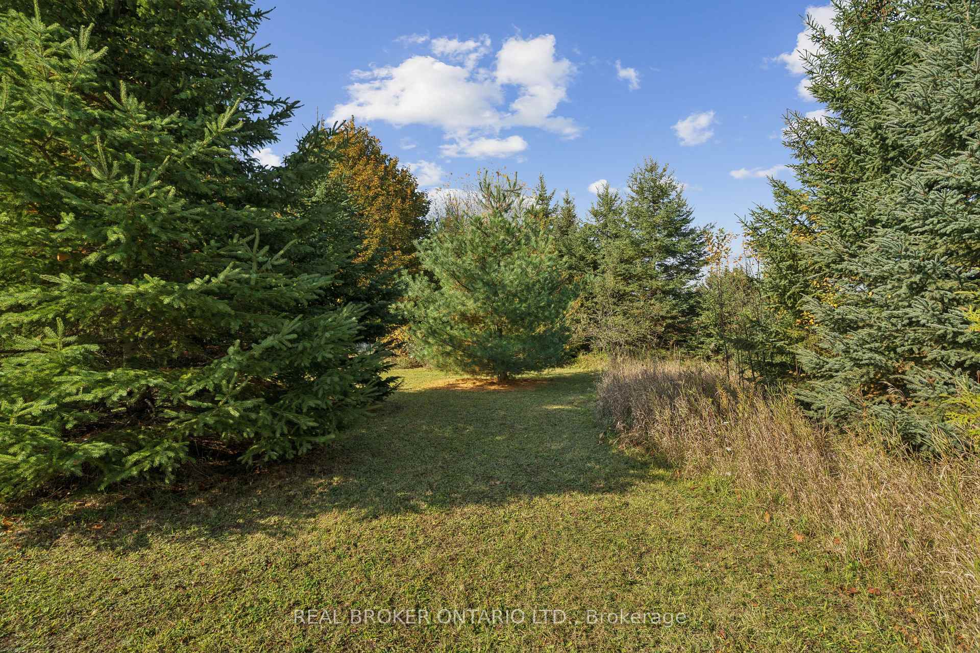 Photo 20 of 5649 25 Side Road, Milton, Rural Nassagaweya — HOMEH