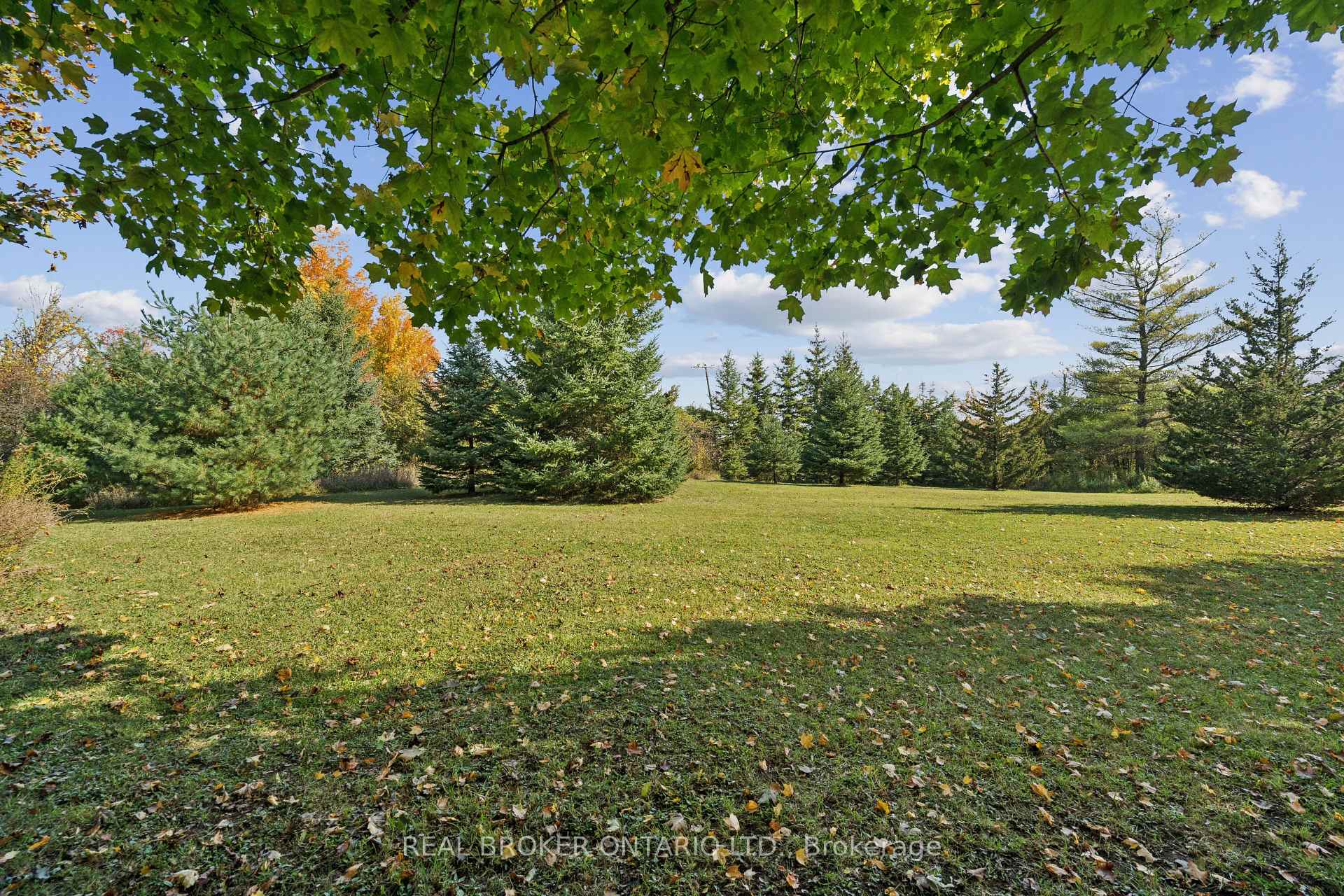 Photo 25 of 5649 25 Side Road, Milton, Rural Nassagaweya — HOMEH