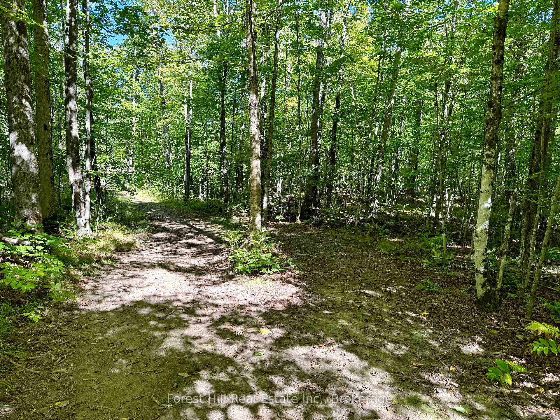 Photo 7 of 27 Murphy Drive, Parry Sound Remote Area, Golden Valley — HOMEH