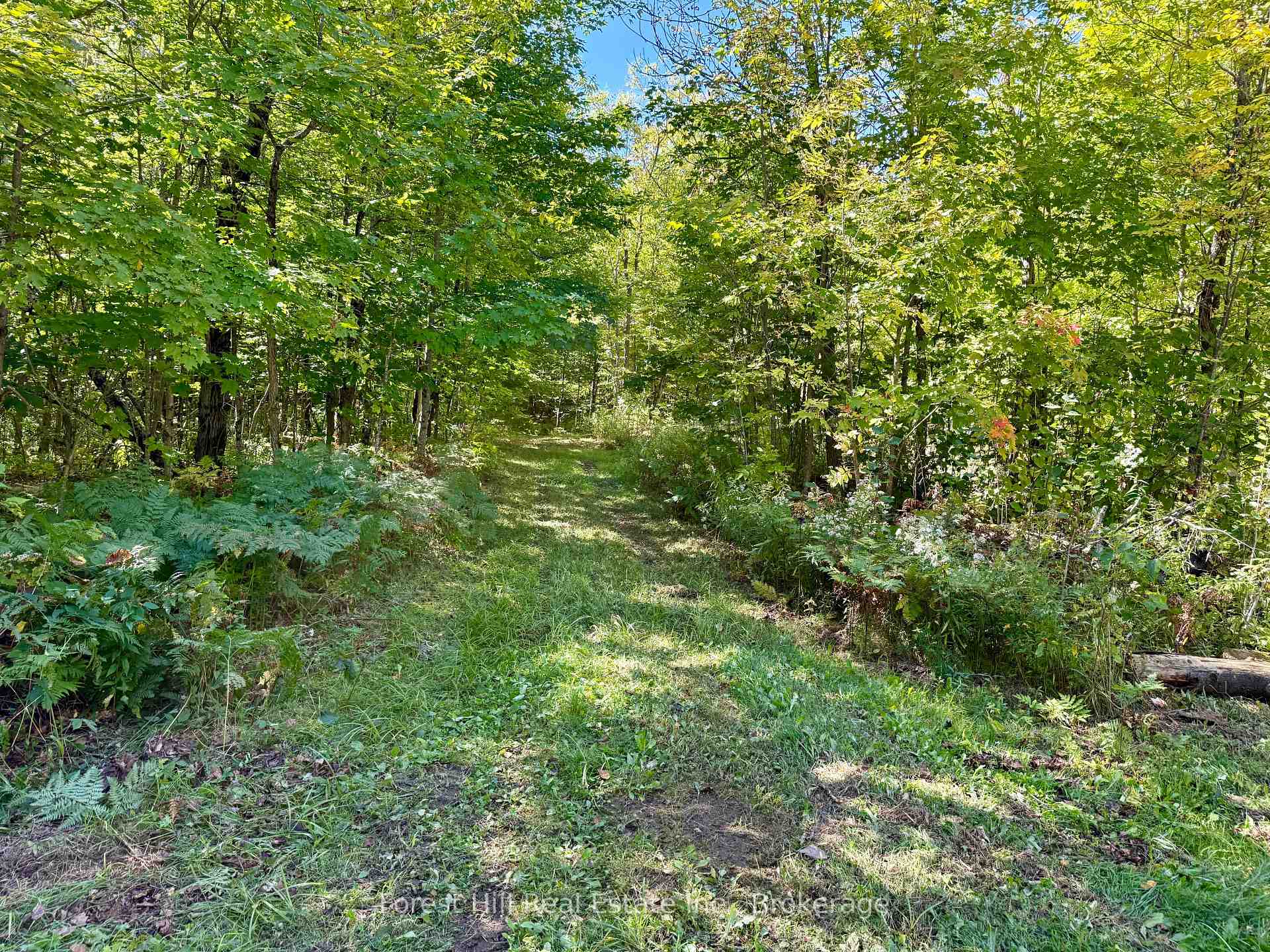 Photo 9 of 27 Murphy Drive, Parry Sound Remote Area, Golden Valley — HOMEH