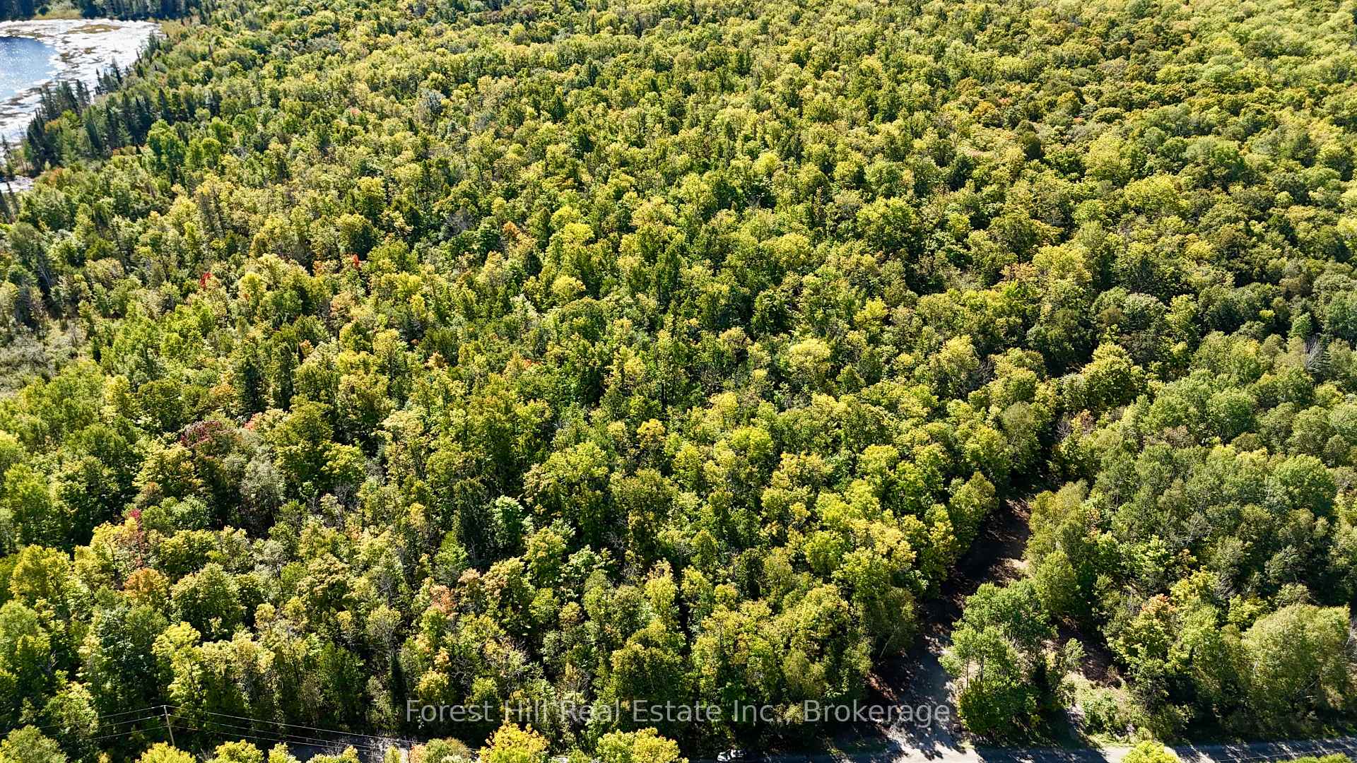 Photo 10 of 27 Murphy Drive, Parry Sound Remote Area, Golden Valley — HOMEH