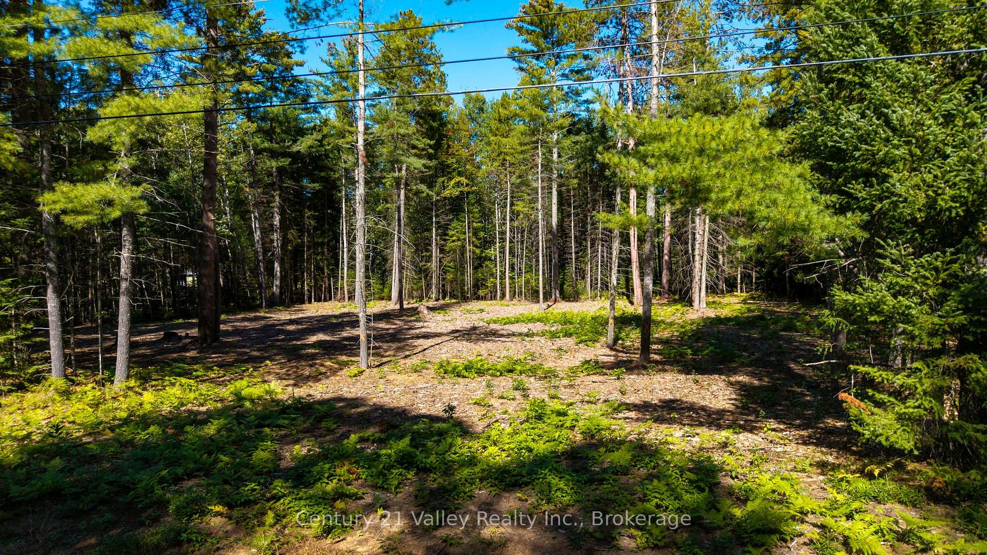 Photo 2 of 536 Pine Street, Greater Madawaska, Greater Madawaska — HOMEH