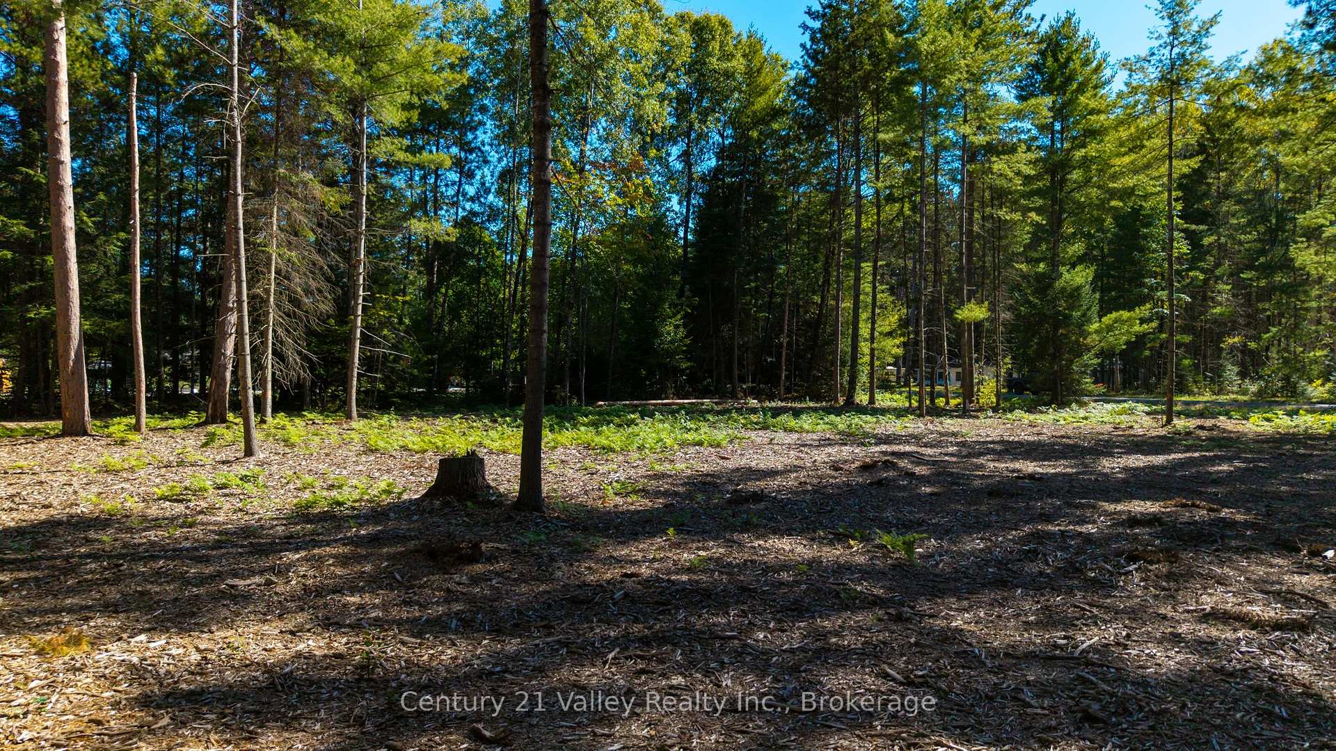 Photo 7 of 536 Pine Street, Greater Madawaska, Greater Madawaska — HOMEH