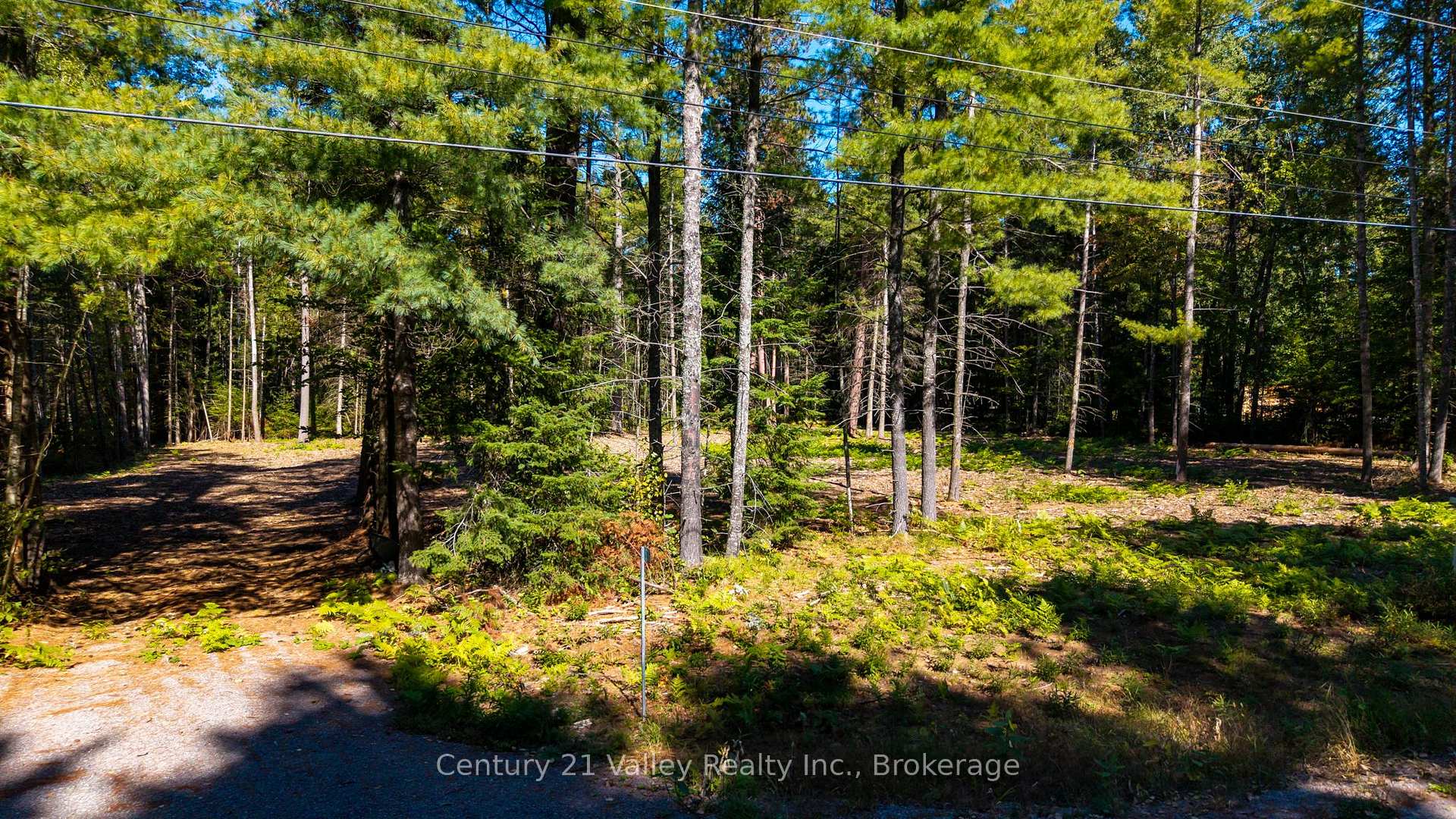Photo 8 of 536 Pine Street, Greater Madawaska, Greater Madawaska — HOMEH