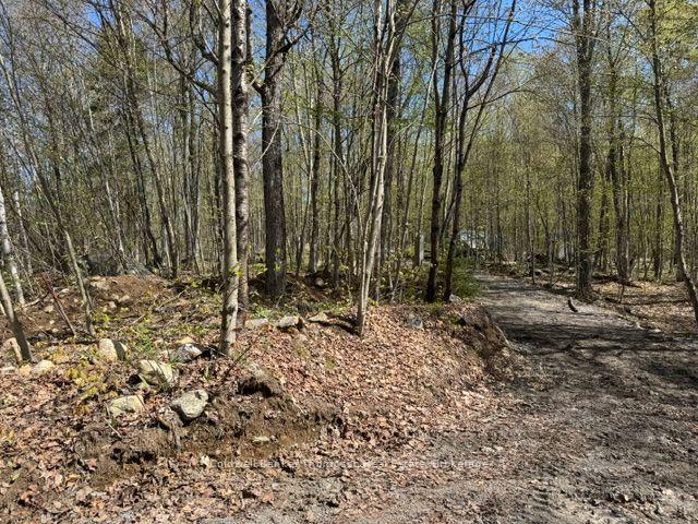 Photo 2 of Mag View Drive, Armour — HOMEH