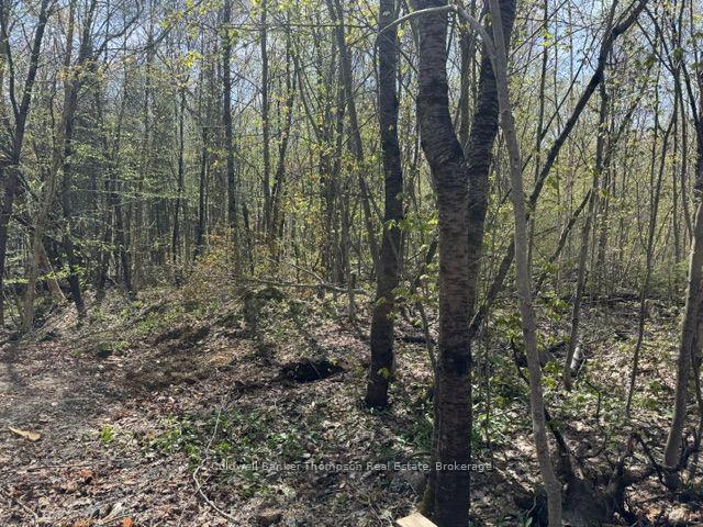 Photo 1 of Mag View Drive, Armour — HOMEH