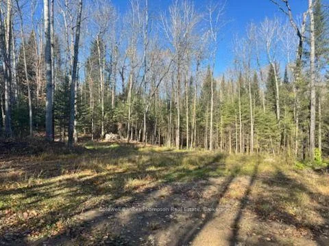 Photo 3 of Mag View Drive, Armour — HOMEH