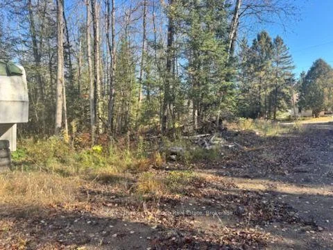 Photo 4 of Mag View Drive, Armour — HOMEH