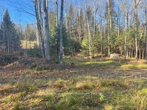 Photo 5 of Mag View Drive, Armour — HOMEH