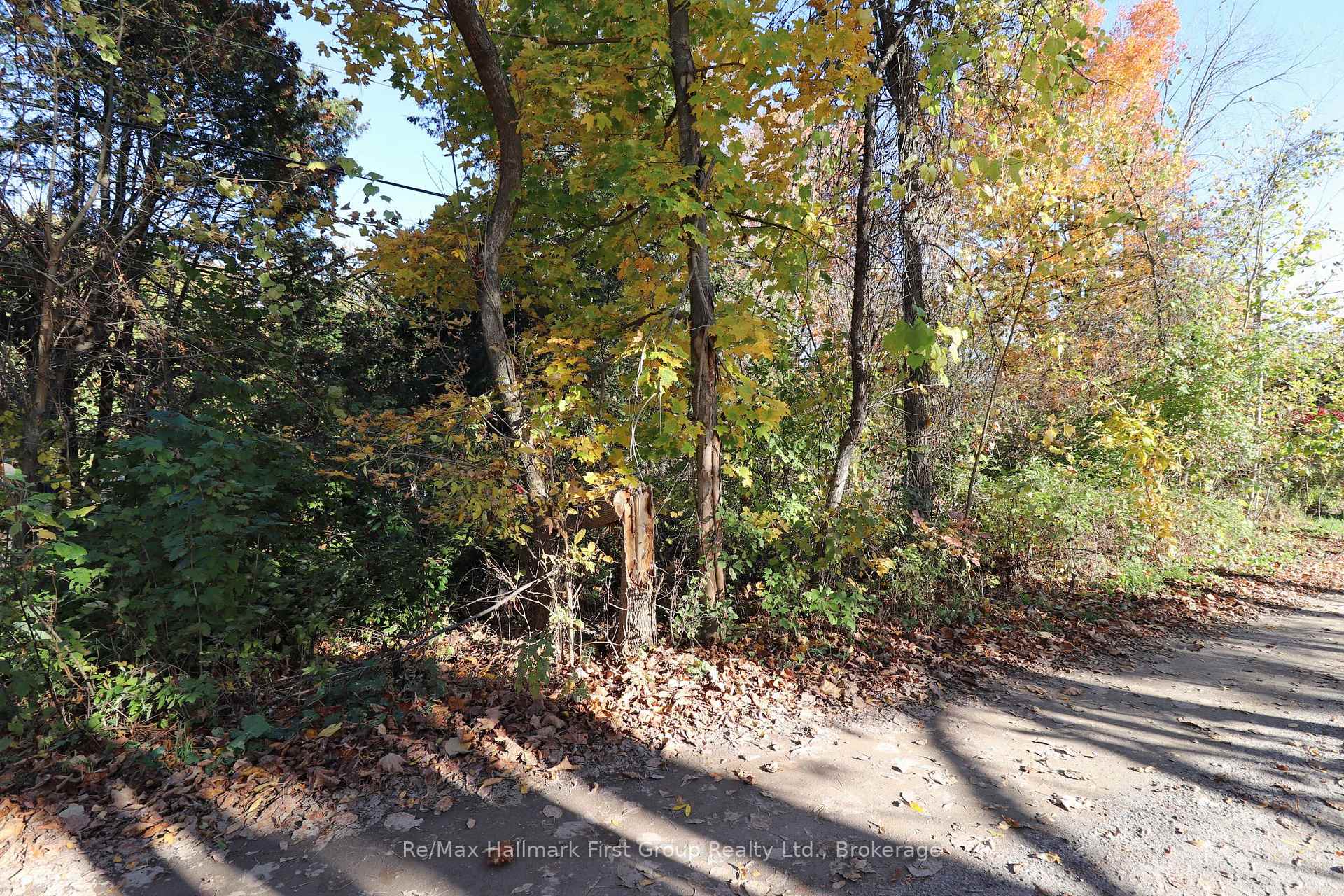 Photo 3 of Lt 16 Sunsmile Lane, Tweed, Hungerford (Twp) — HOMEH