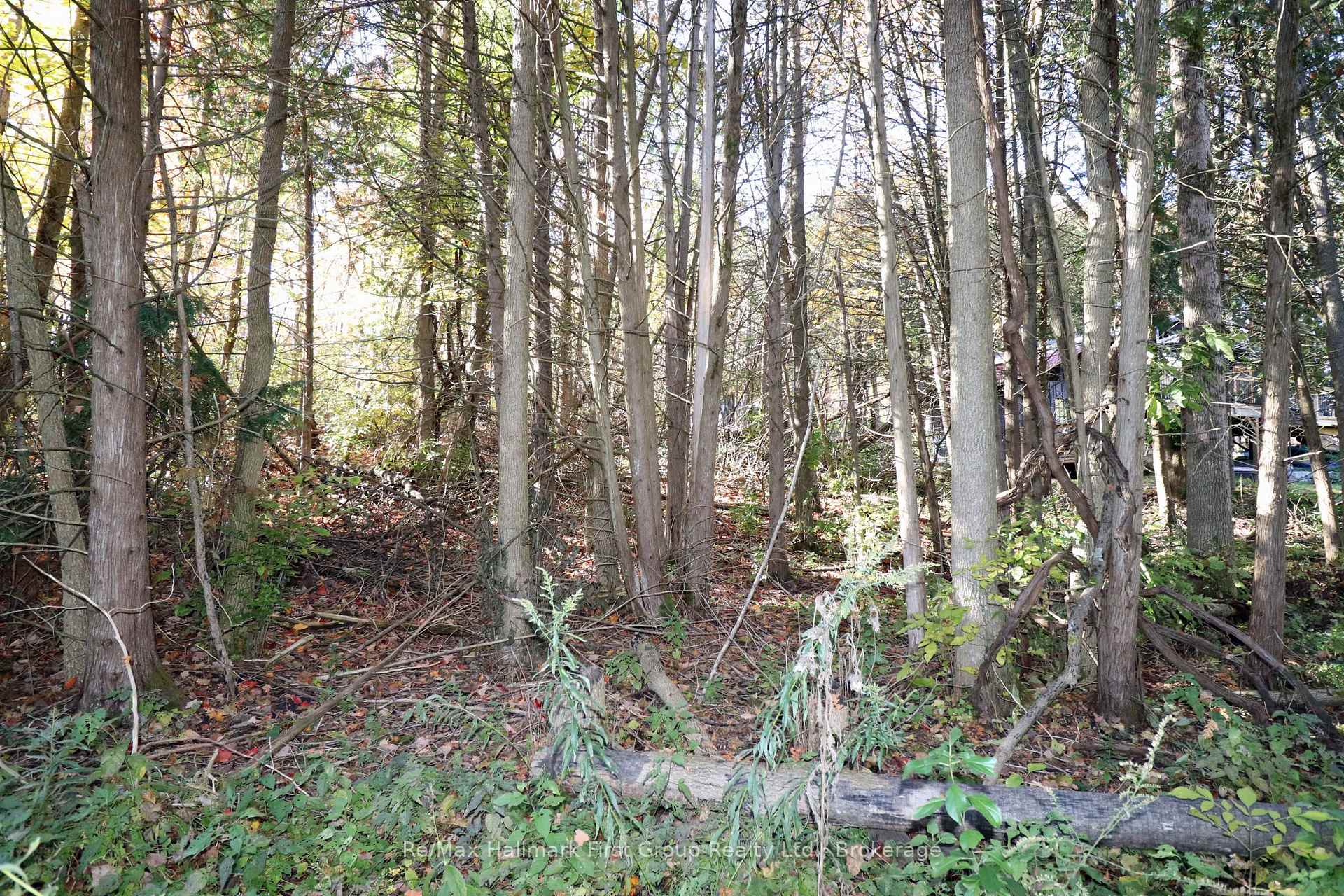 Photo 2 of Lt 16 Sunsmile Lane, Tweed, Hungerford (Twp) — HOMEH