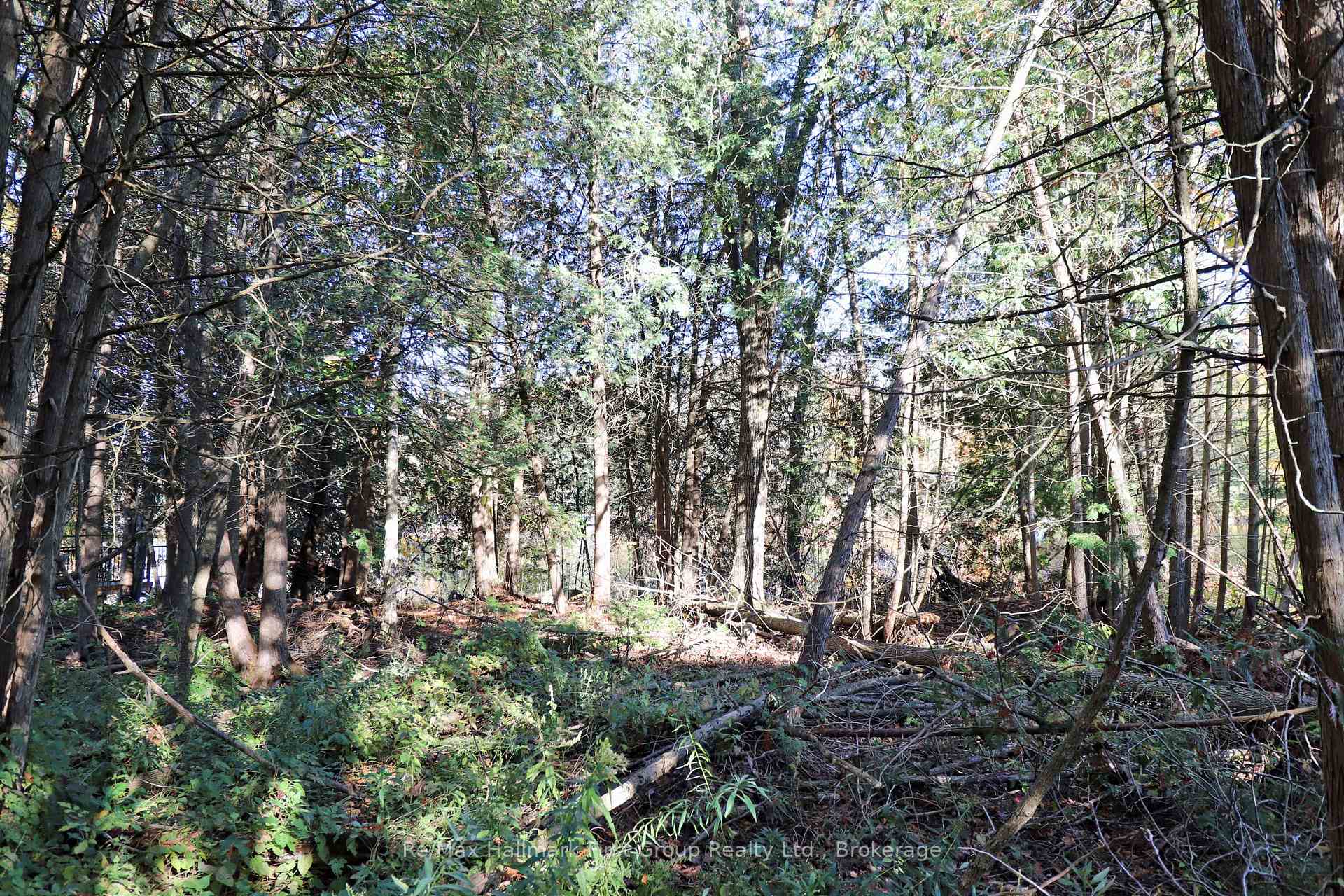 Photo 5 of Lt 16 Sunsmile Lane, Tweed, Hungerford (Twp) — HOMEH
