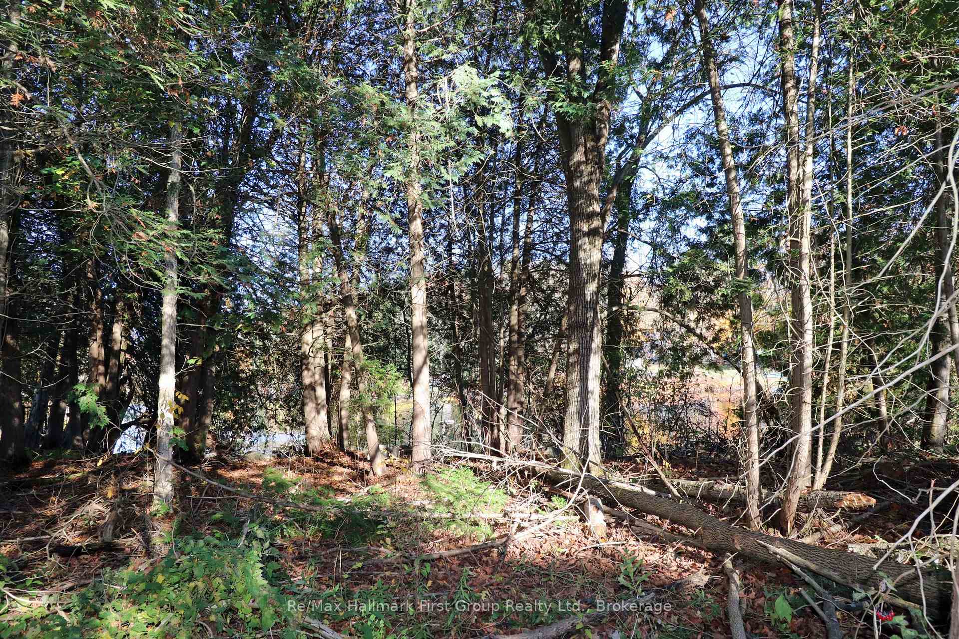 Photo 6 of Lt 16 Sunsmile Lane, Tweed, Hungerford (Twp) — HOMEH
