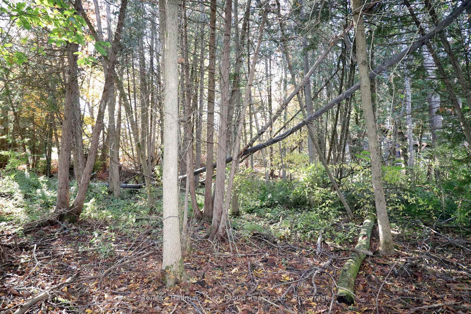 Photo 11 of Lt 16 Sunsmile Lane, Tweed, Hungerford (Twp) — HOMEH