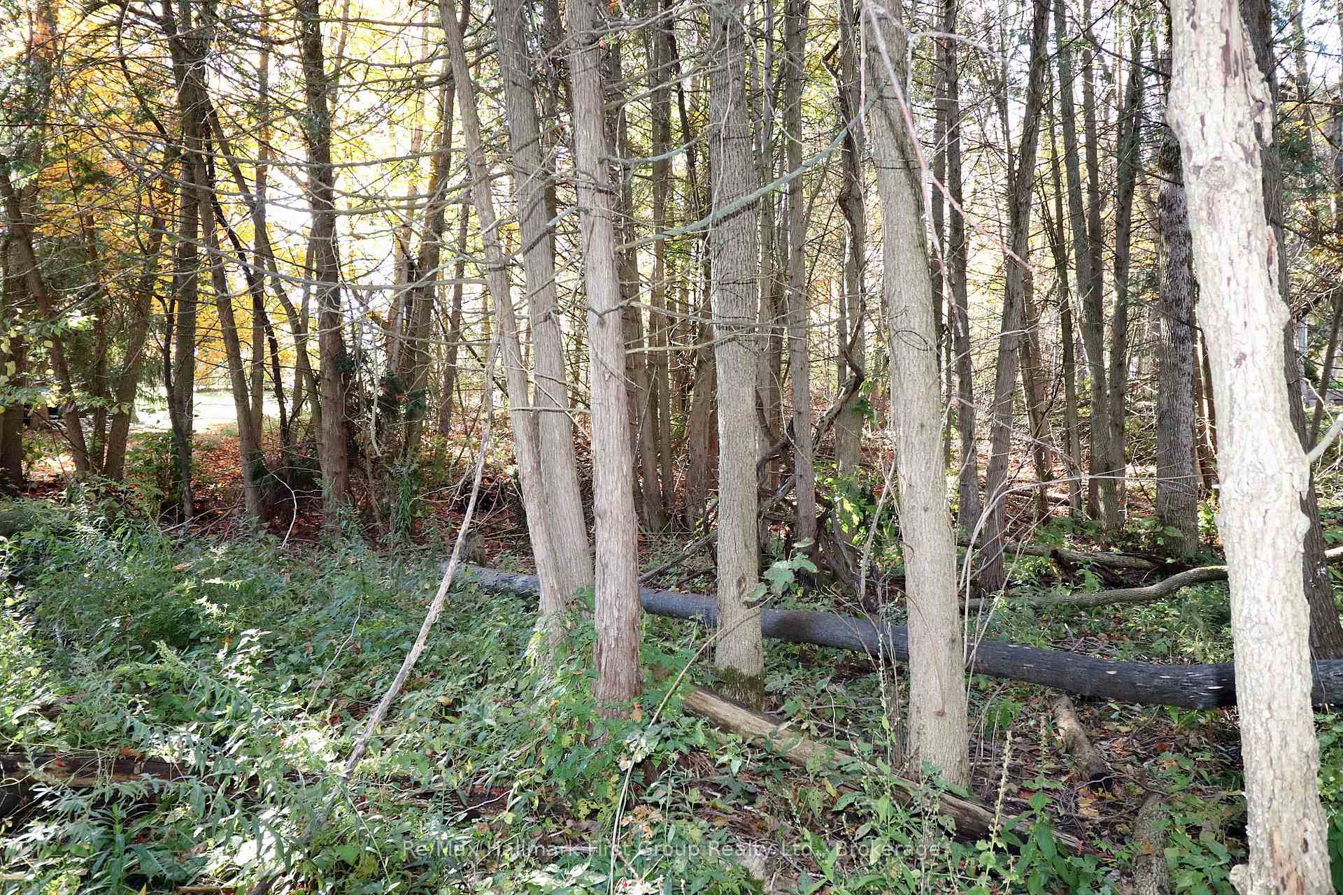 Photo 16 of Lt 16 Sunsmile Lane, Tweed, Hungerford (Twp) — HOMEH