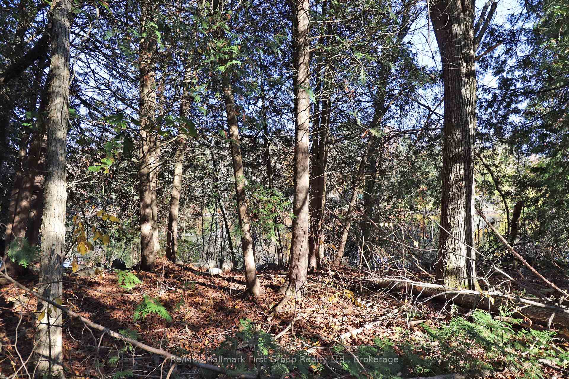 Photo 17 of Lt 16 Sunsmile Lane, Tweed, Hungerford (Twp) — HOMEH